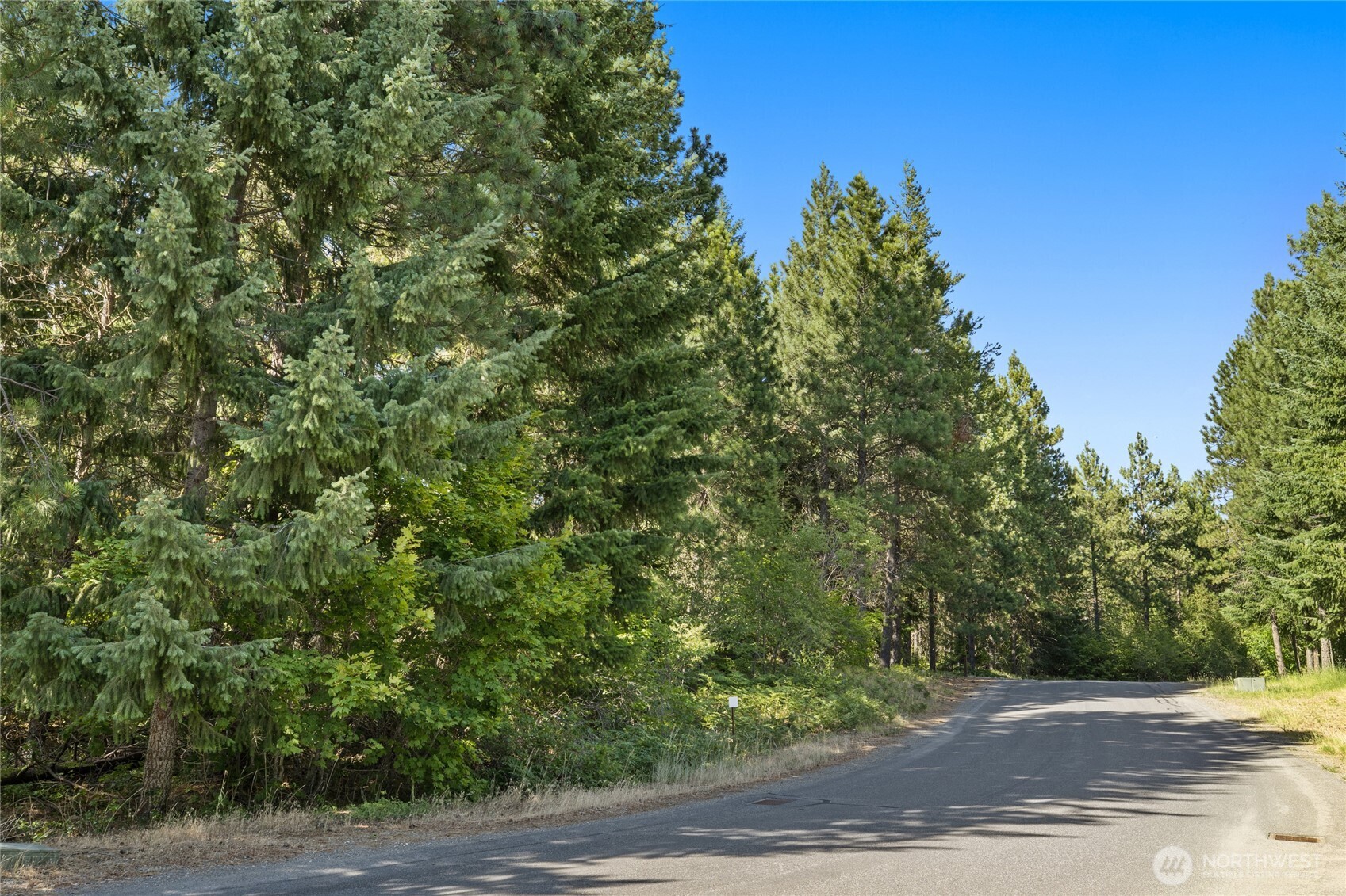 711 Ruby King Loop