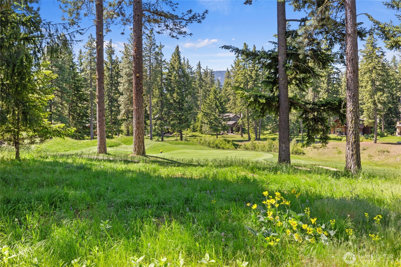 1531 Larkspur Loop
