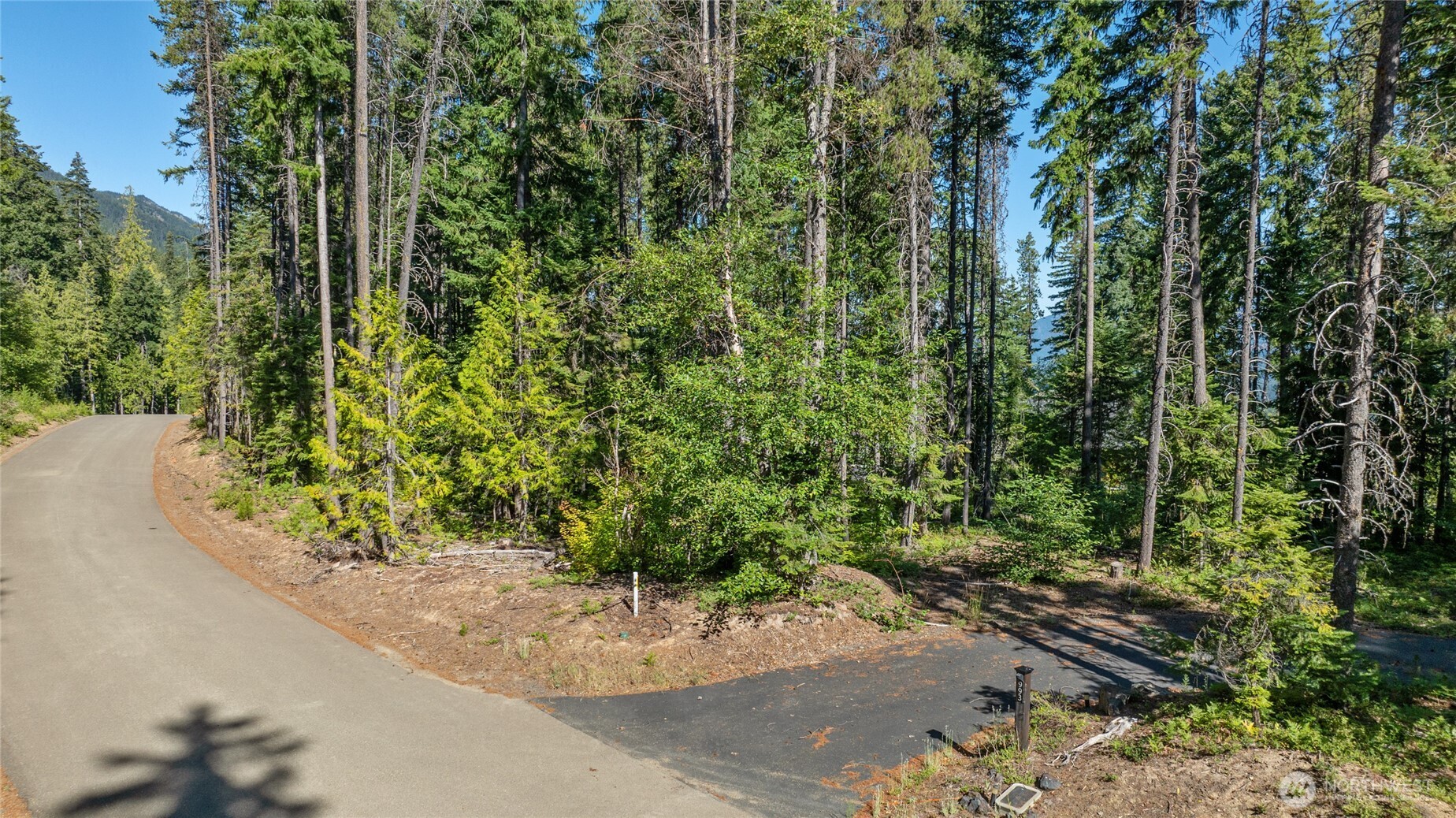 991 Trailside Drive