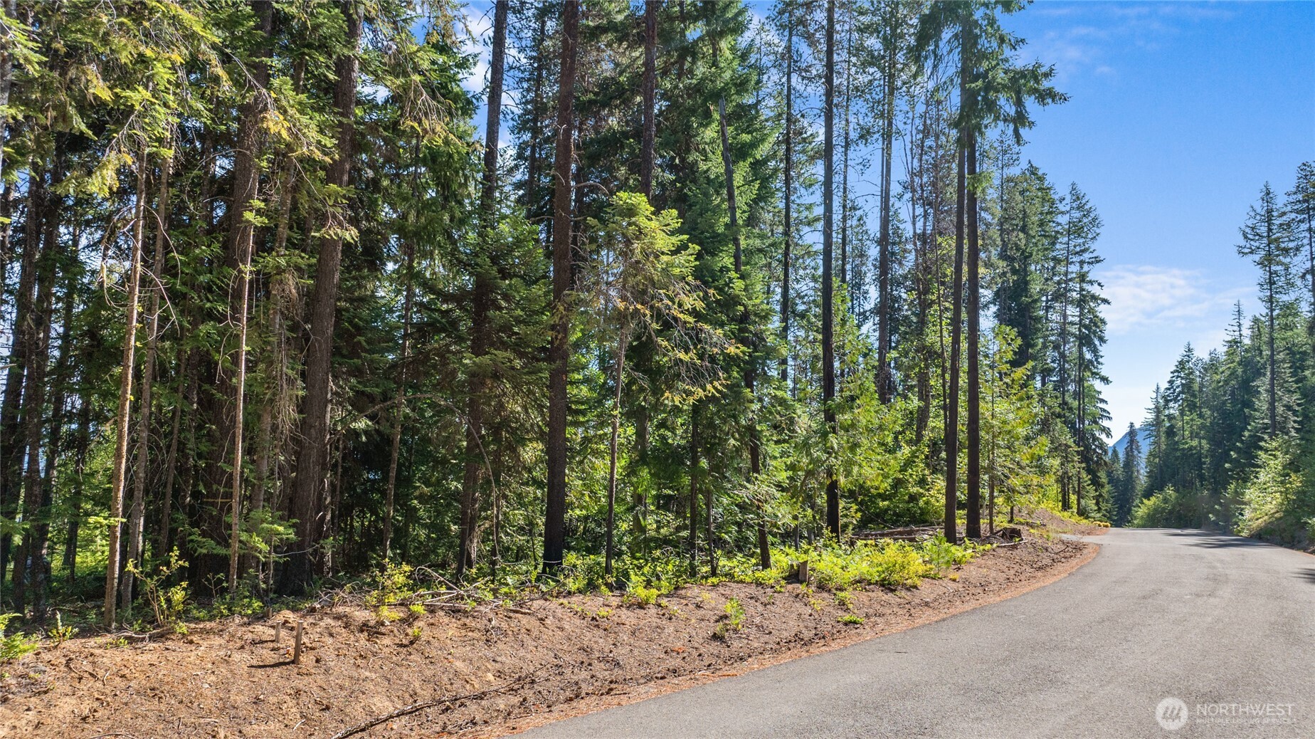 991 Trailside Drive