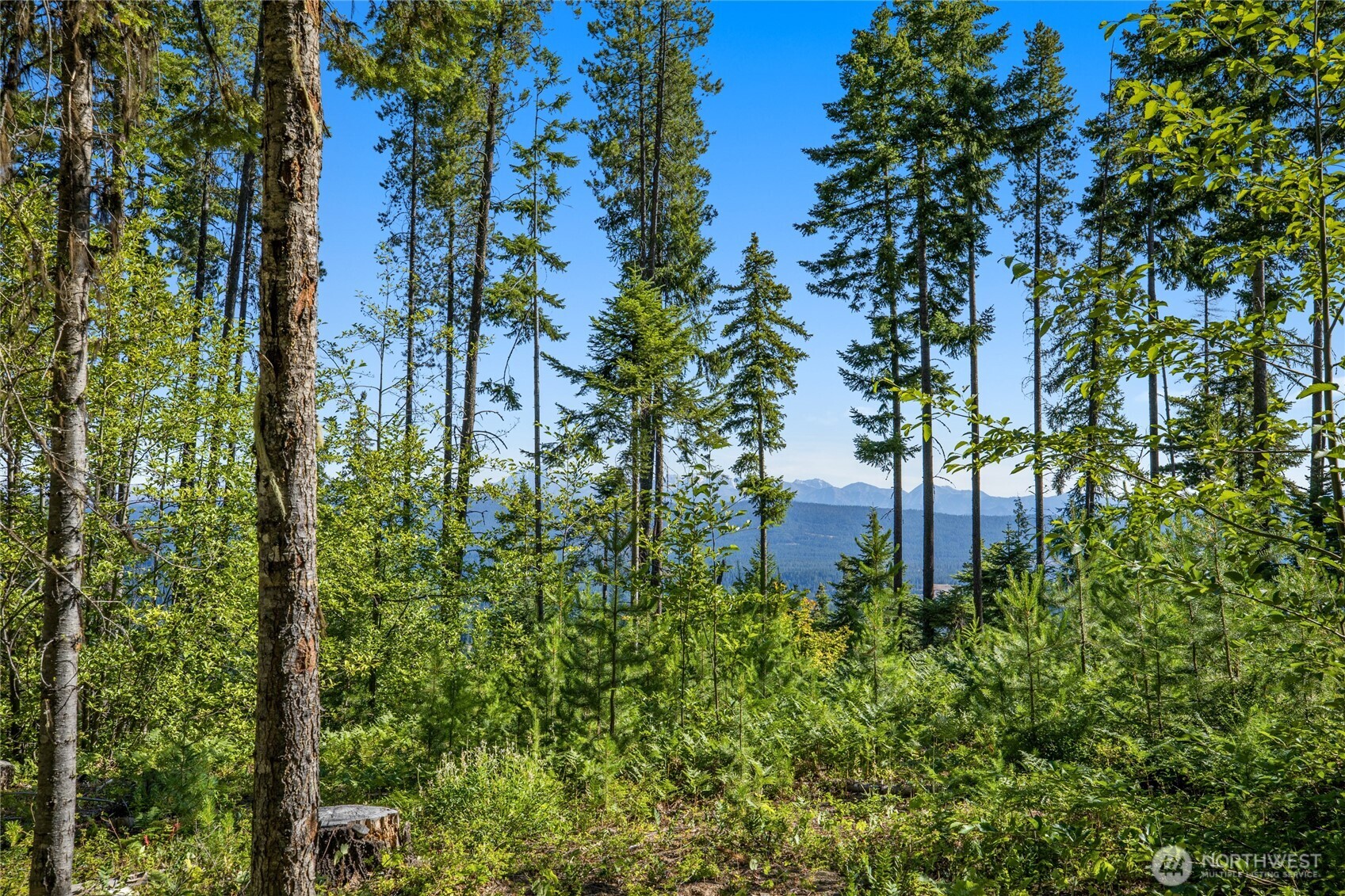 991 Trailside Drive