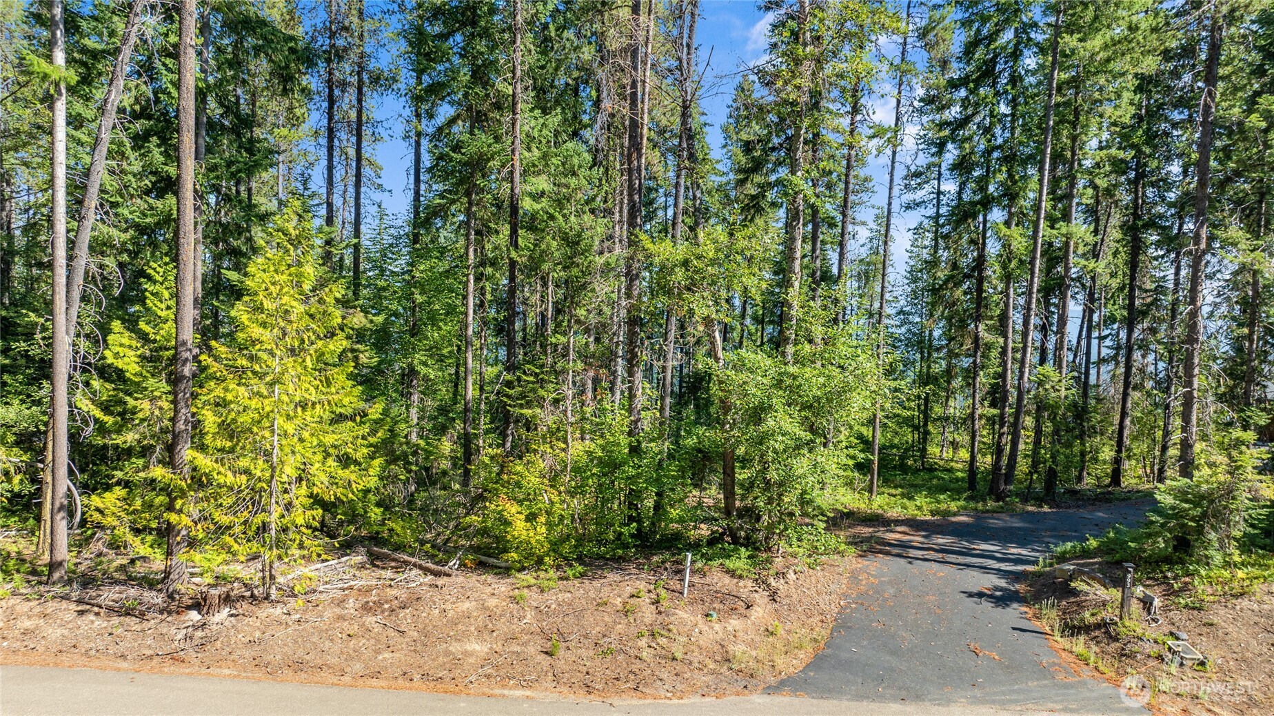 991 Trailside Drive