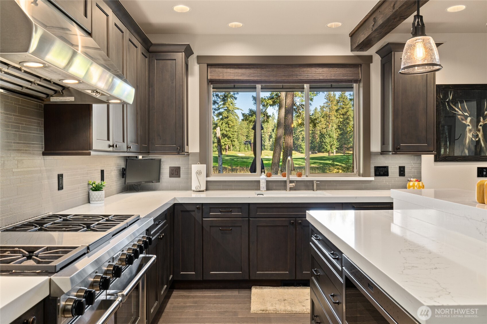 1020 Larkspur Loop