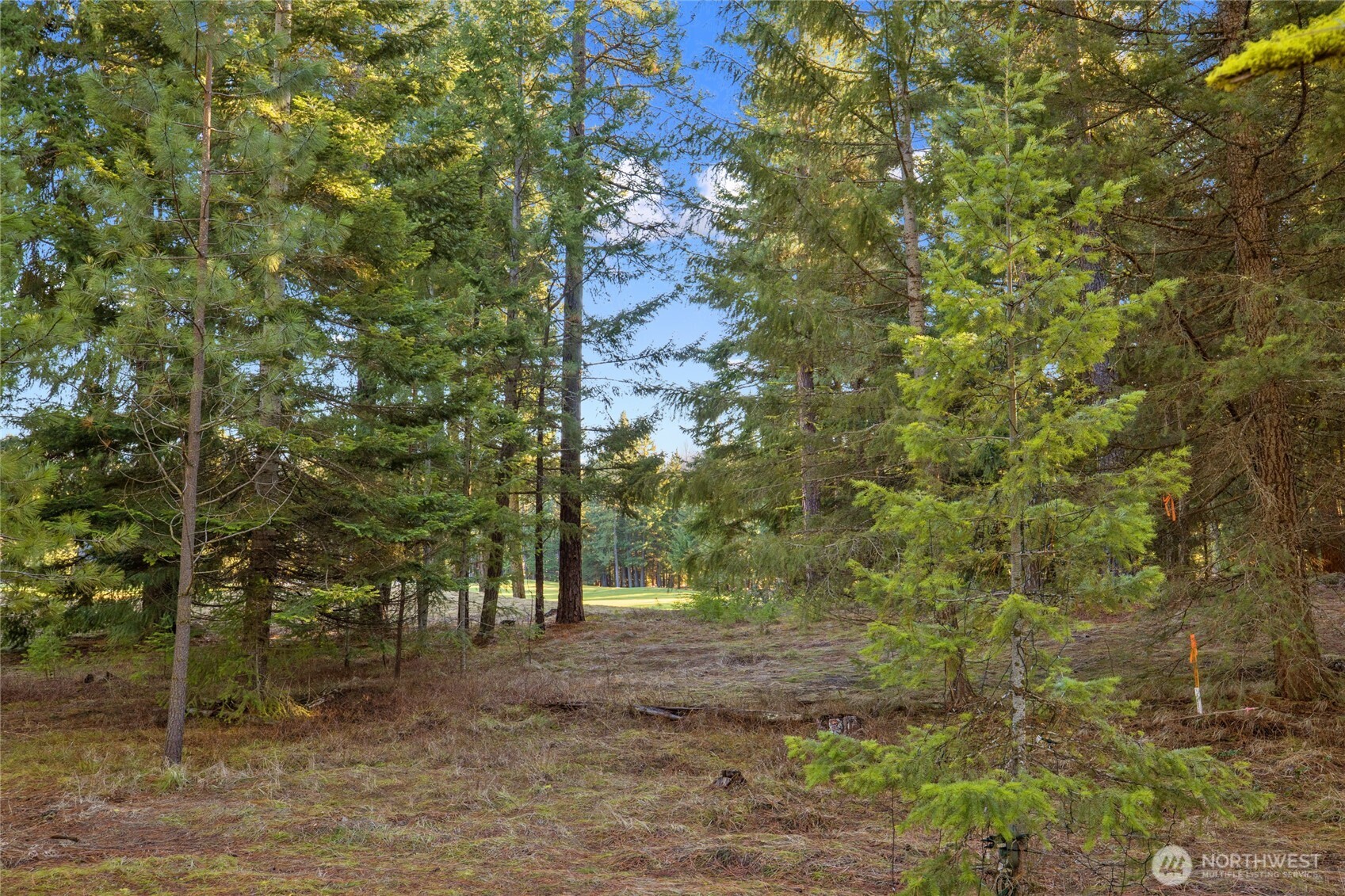 150 Bunchberry Court