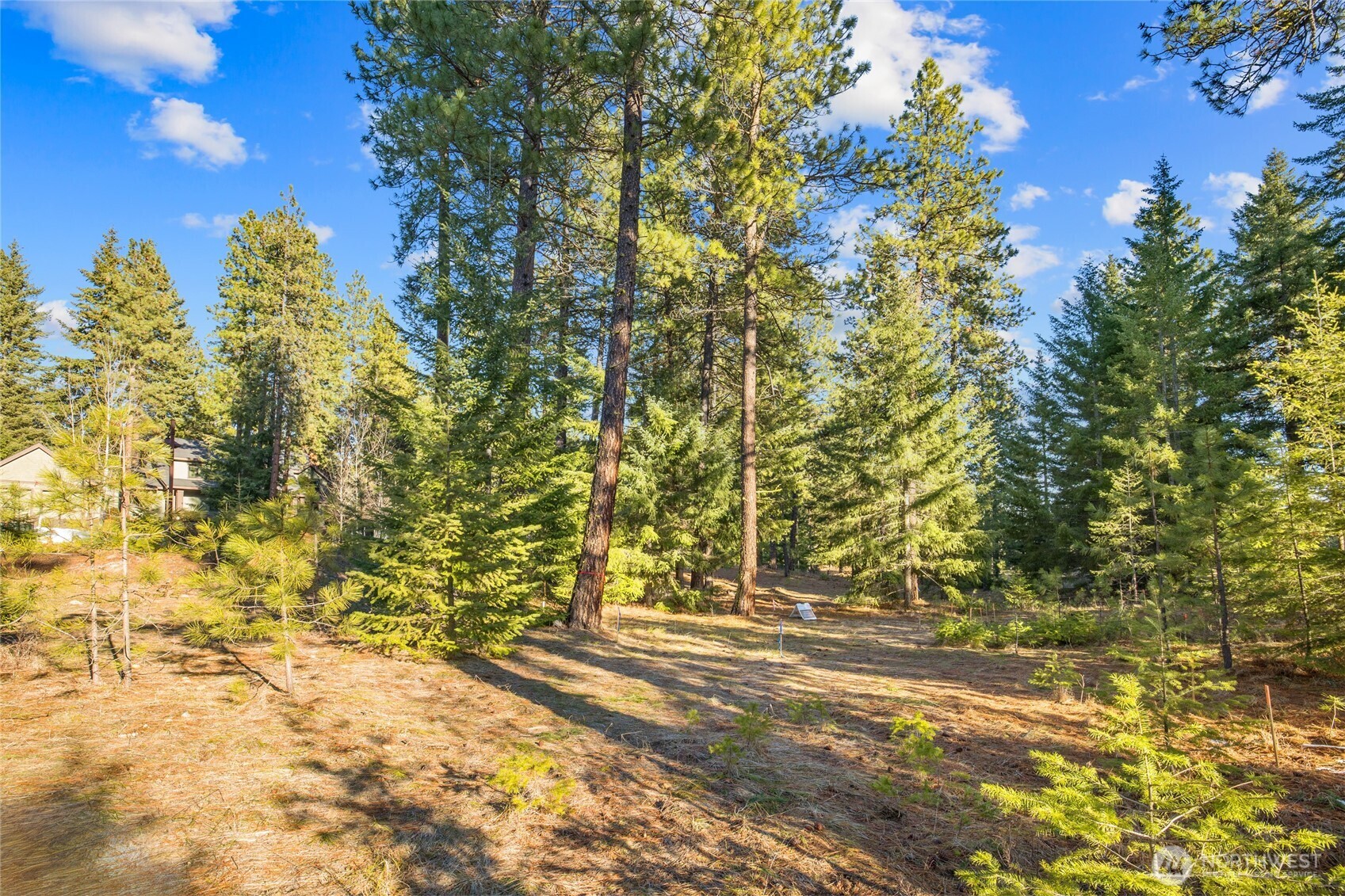 150 Bunchberry Court