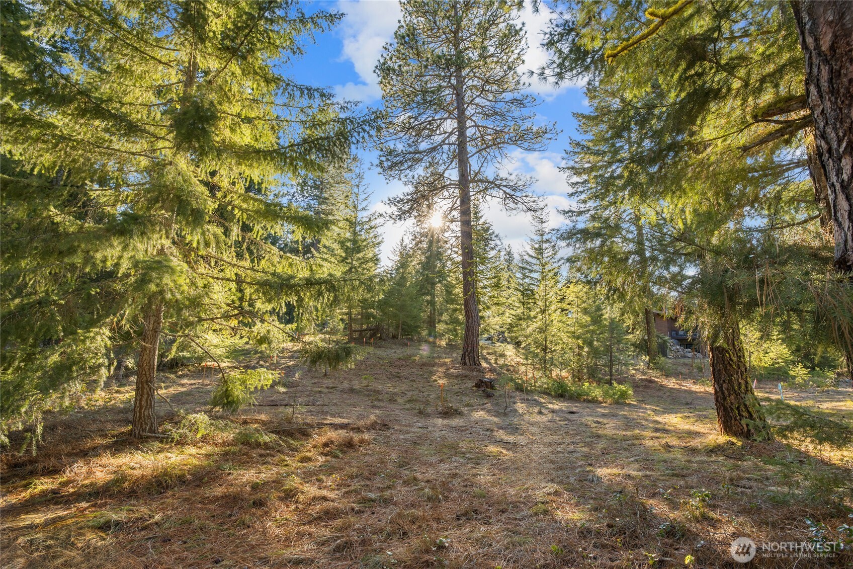 150 Bunchberry Court