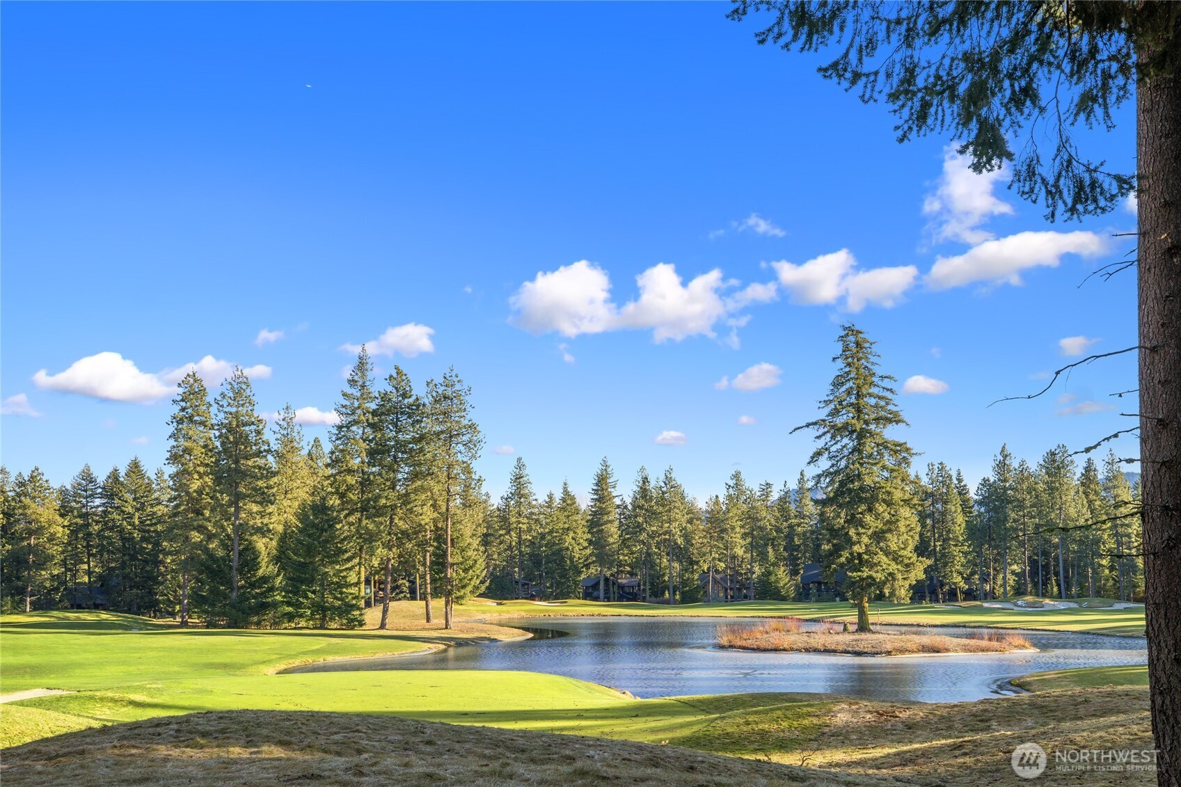 150 Bunchberry Court