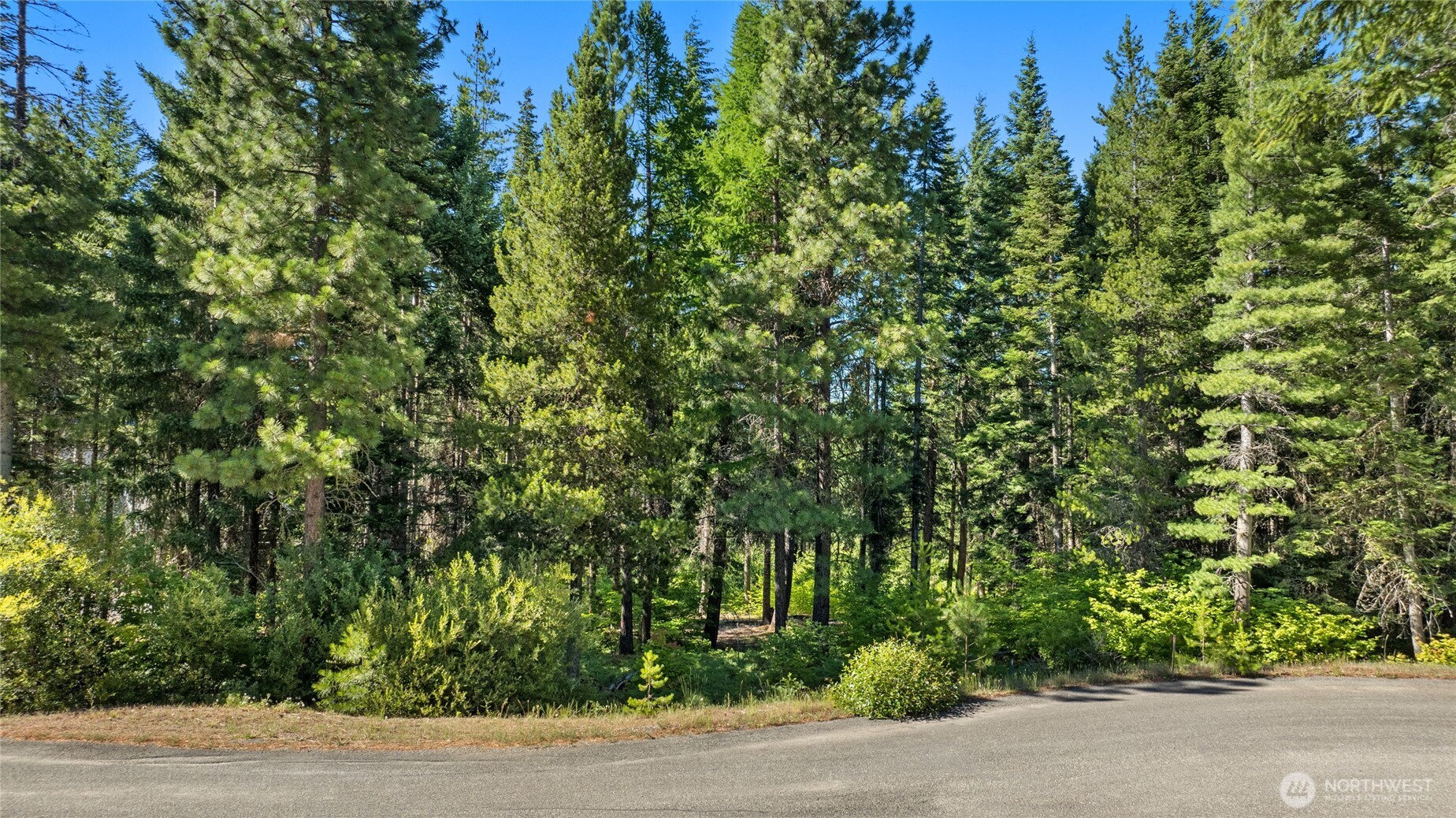 131 Goat Creek Lane