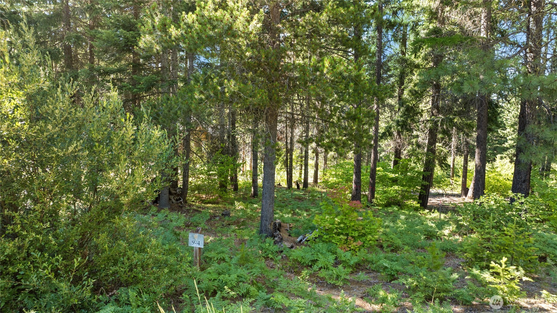 131 Goat Creek Lane