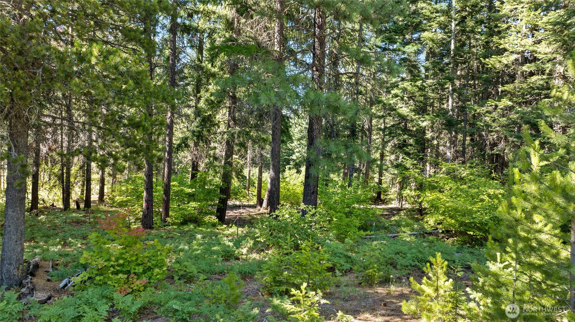 131 Goat Creek Lane