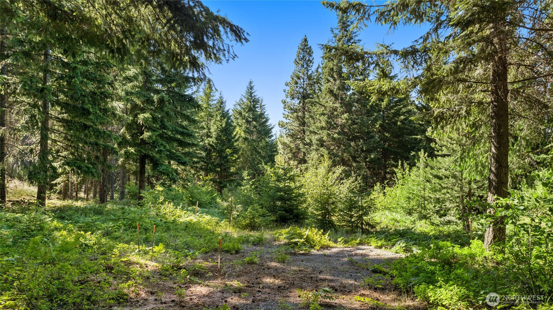131 Goat Creek Lane
