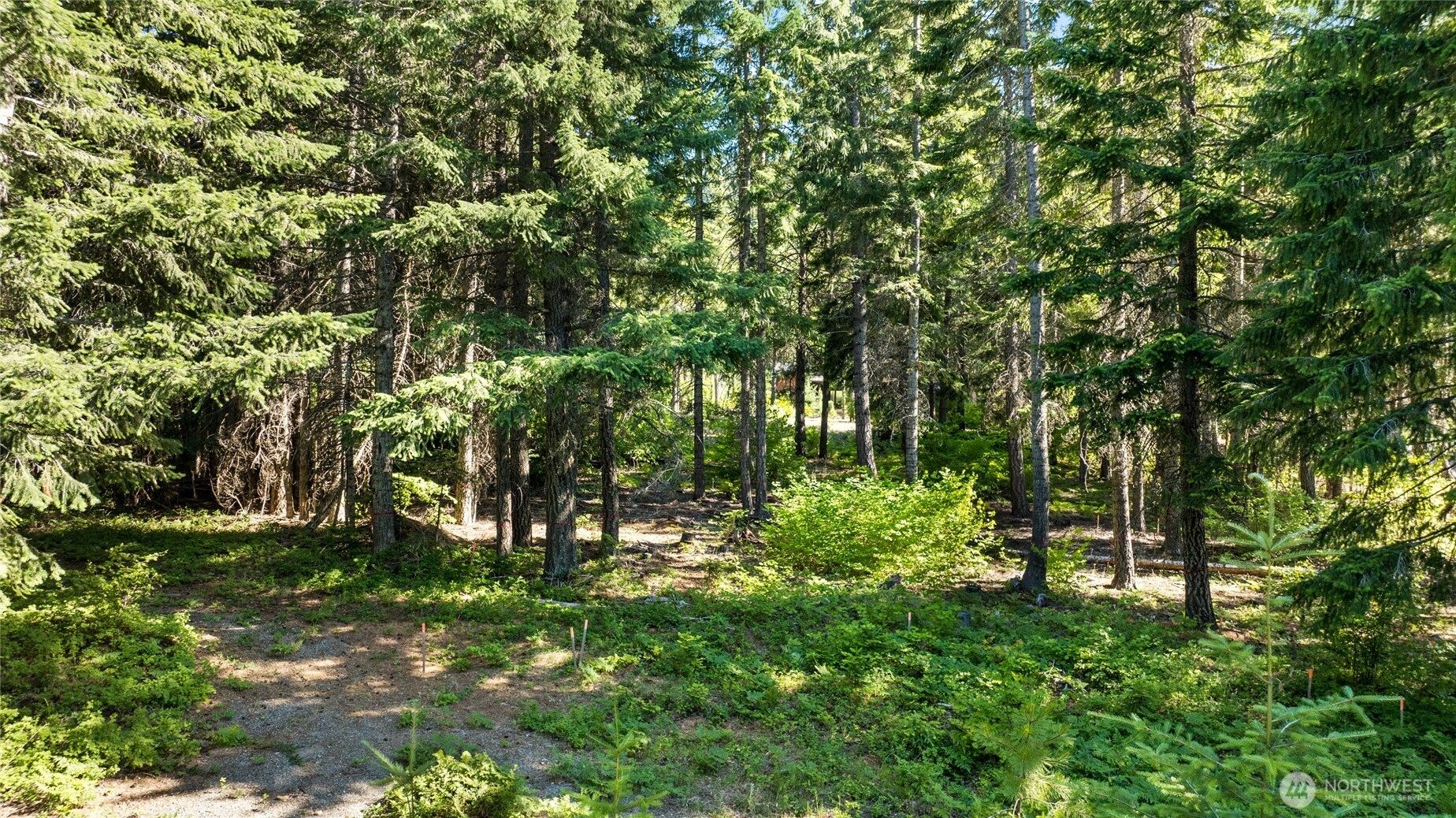 131 Goat Creek Lane