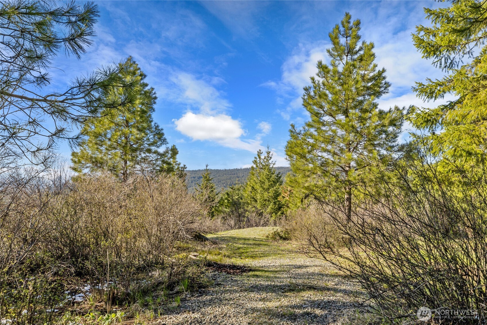 391 Big Hill Drive