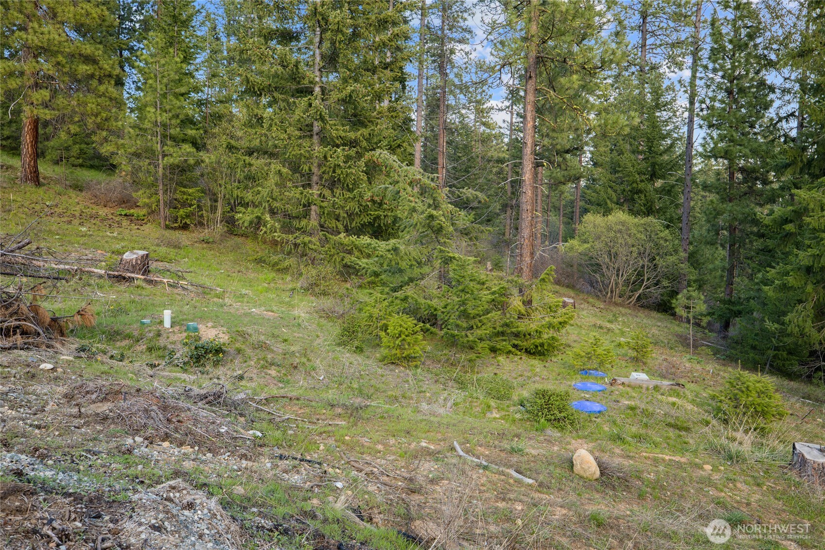 26 Coralbell (Lot 26) Lane
