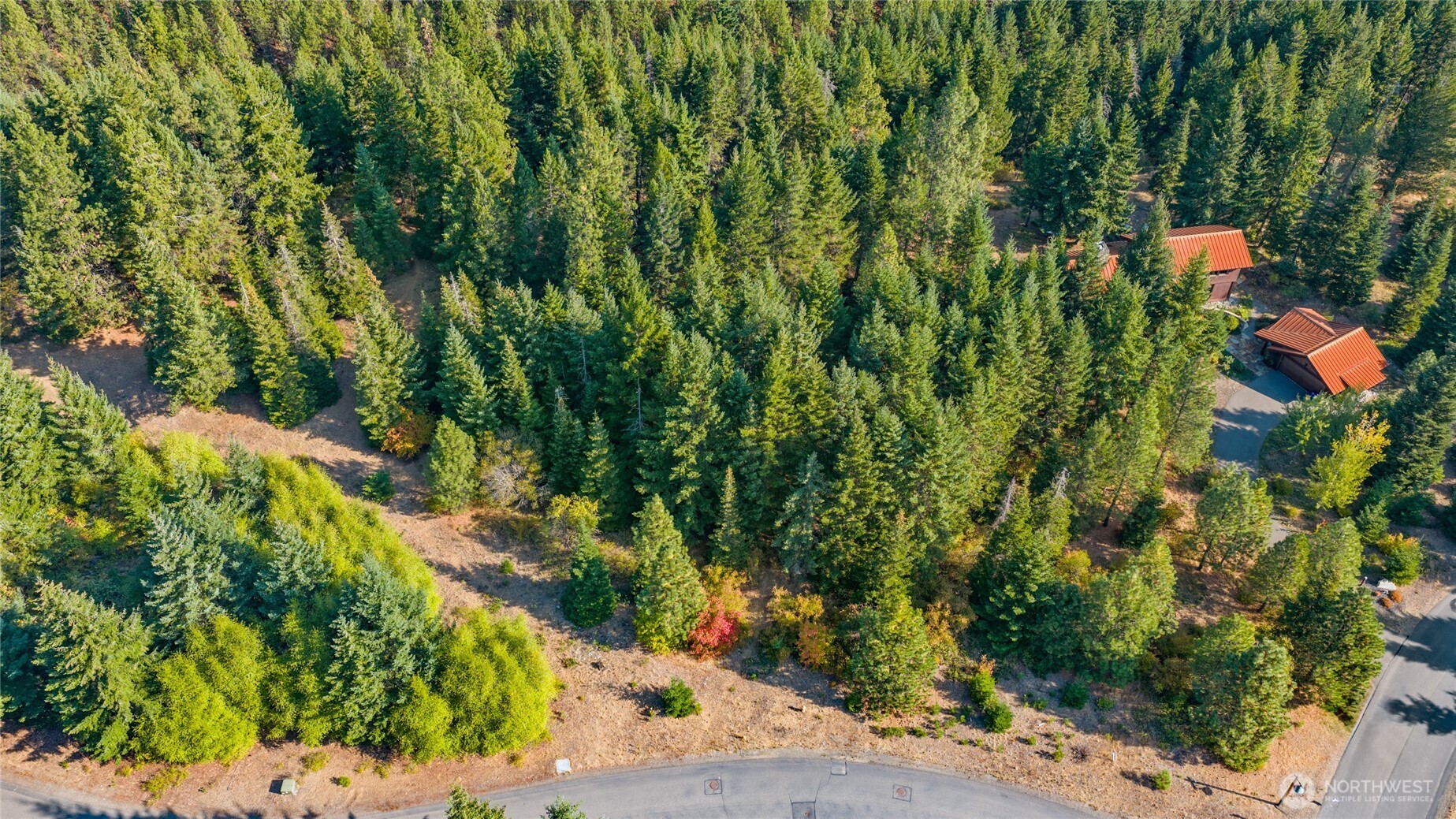 3241 Jenkins Drive