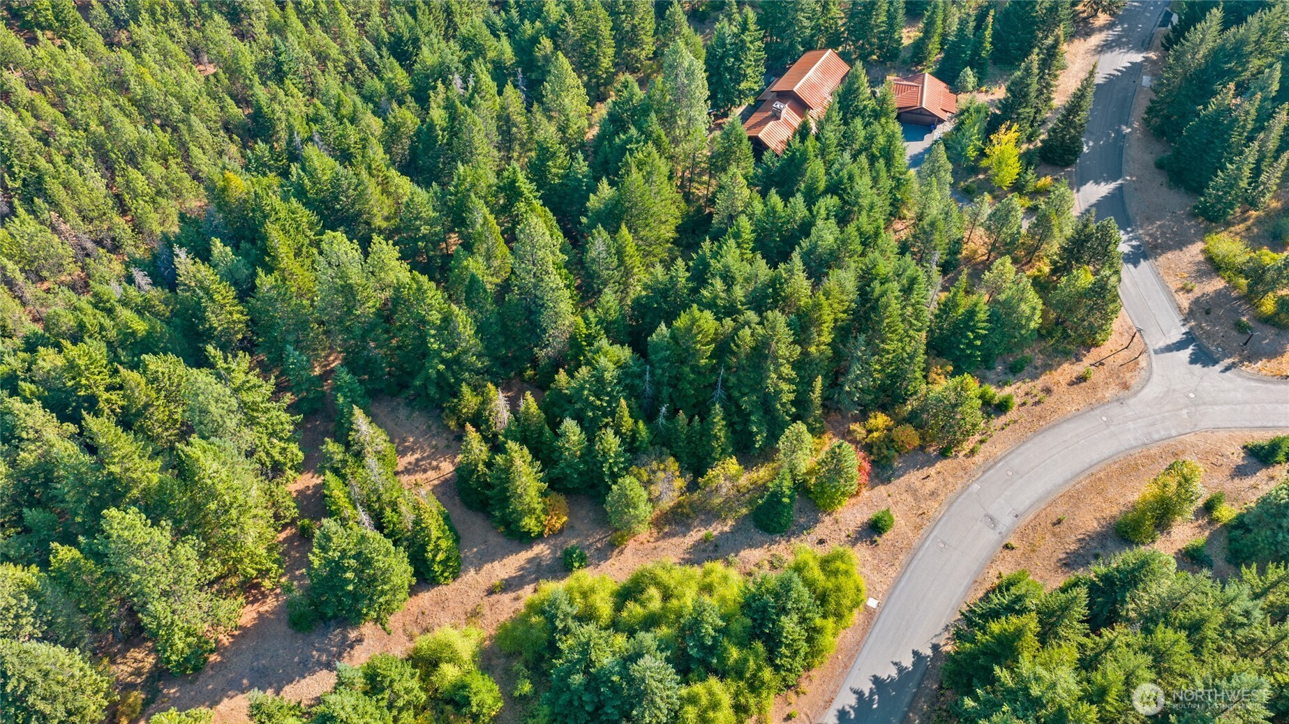 3241 Jenkins Drive