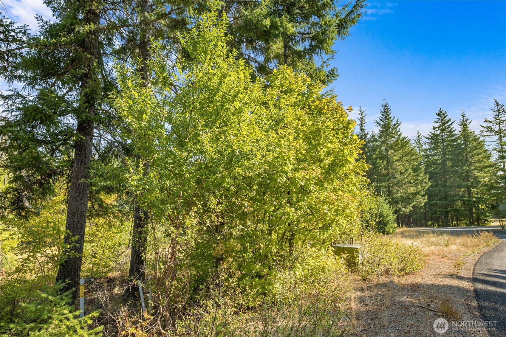 3241 Jenkins Drive