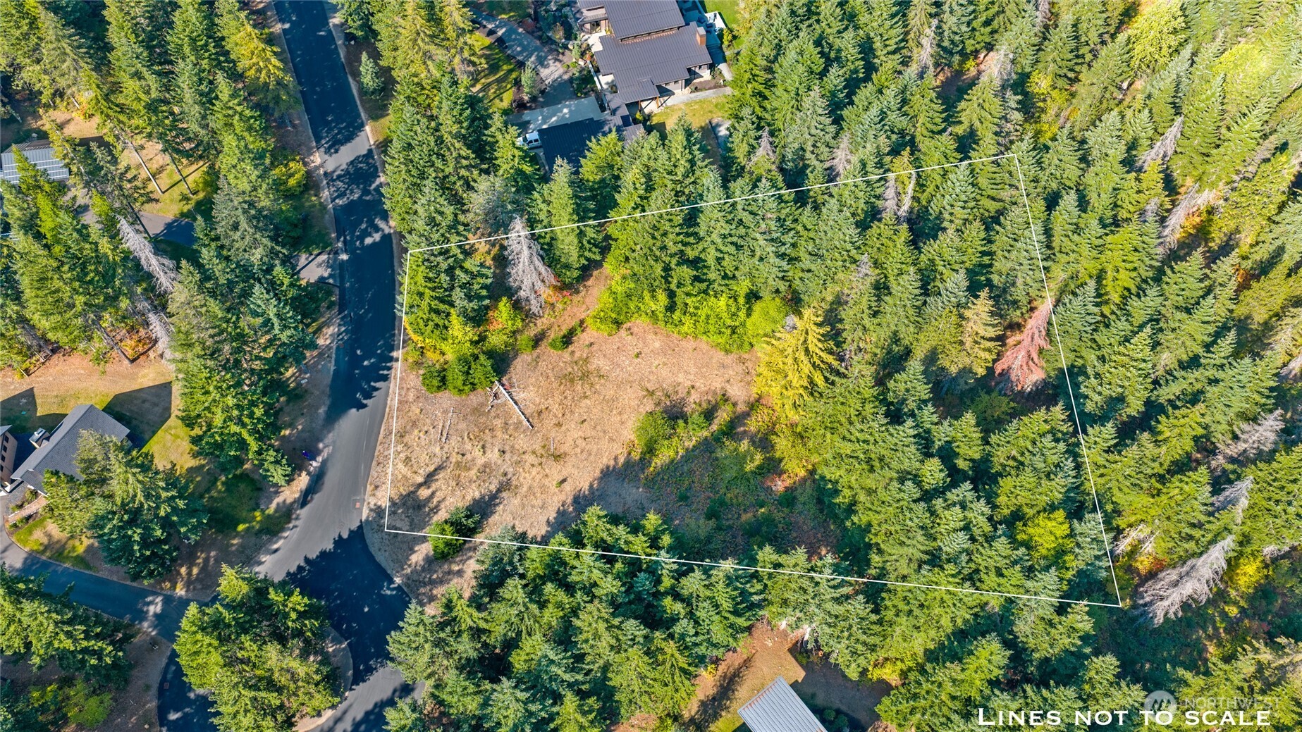 321 Goat Creek Lane