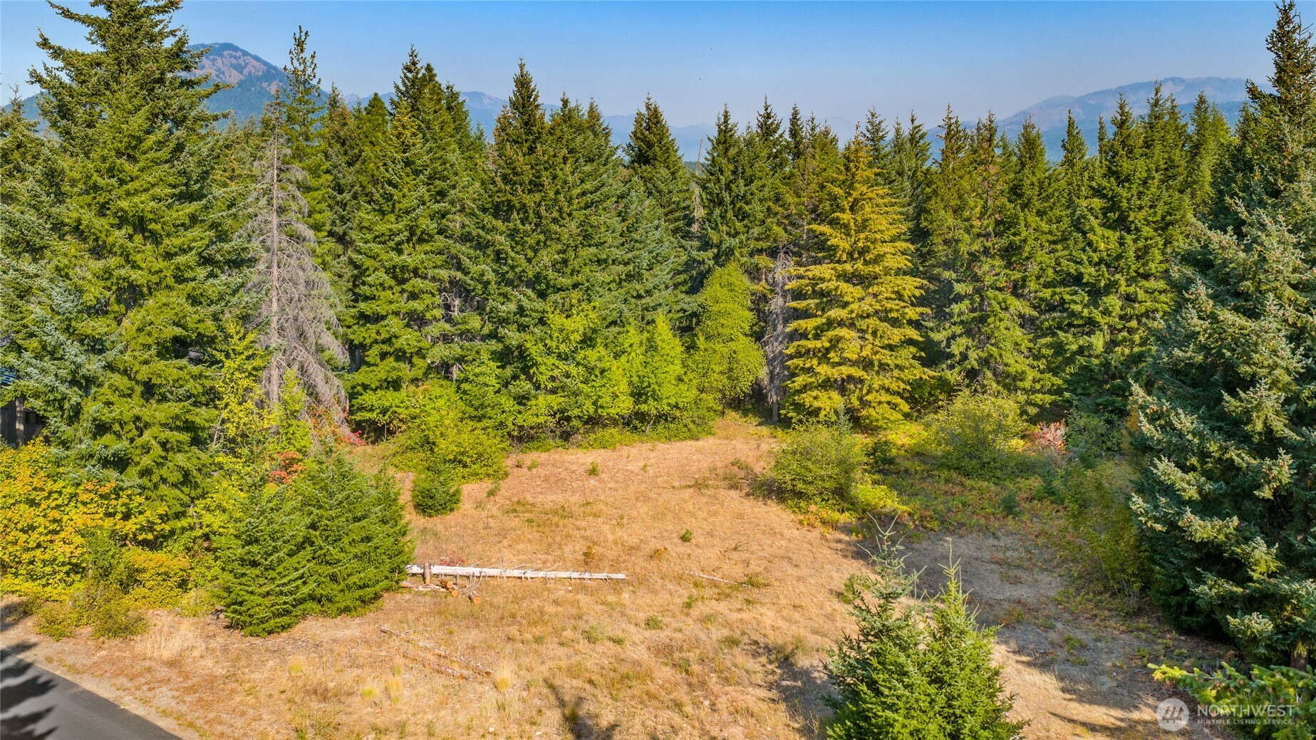 321 Goat Creek Lane