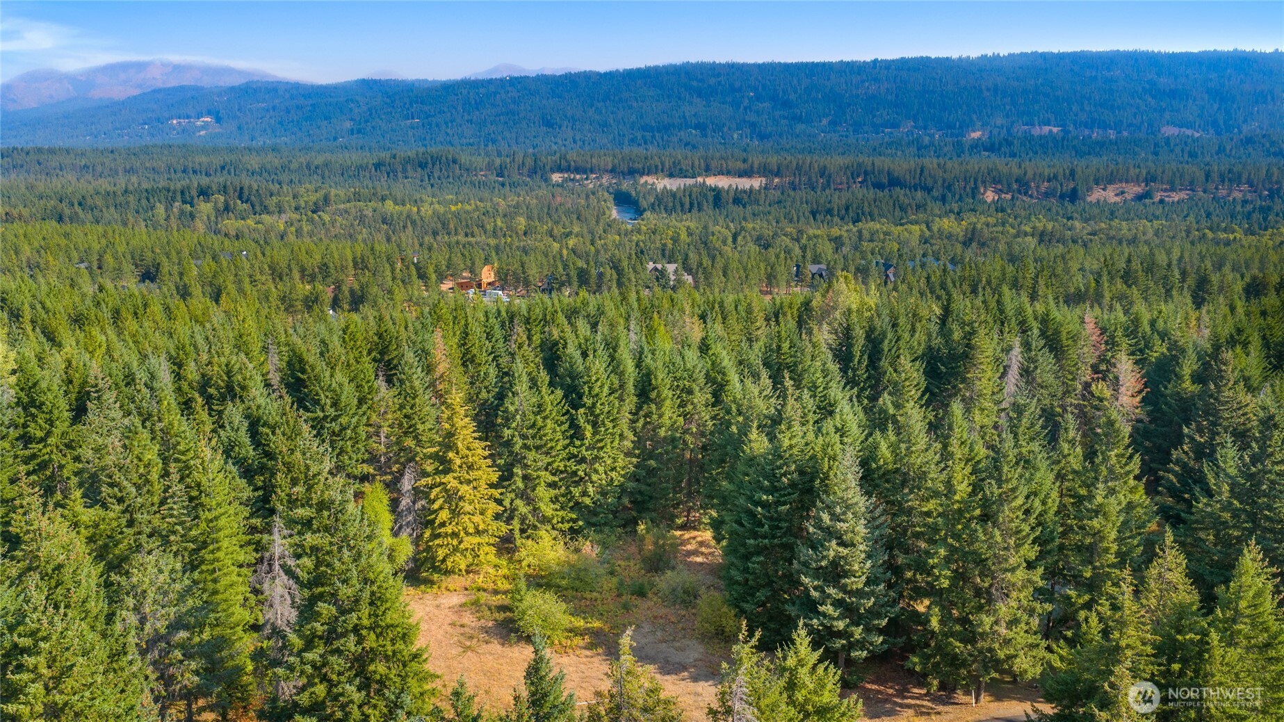 321 Goat Creek Lane
