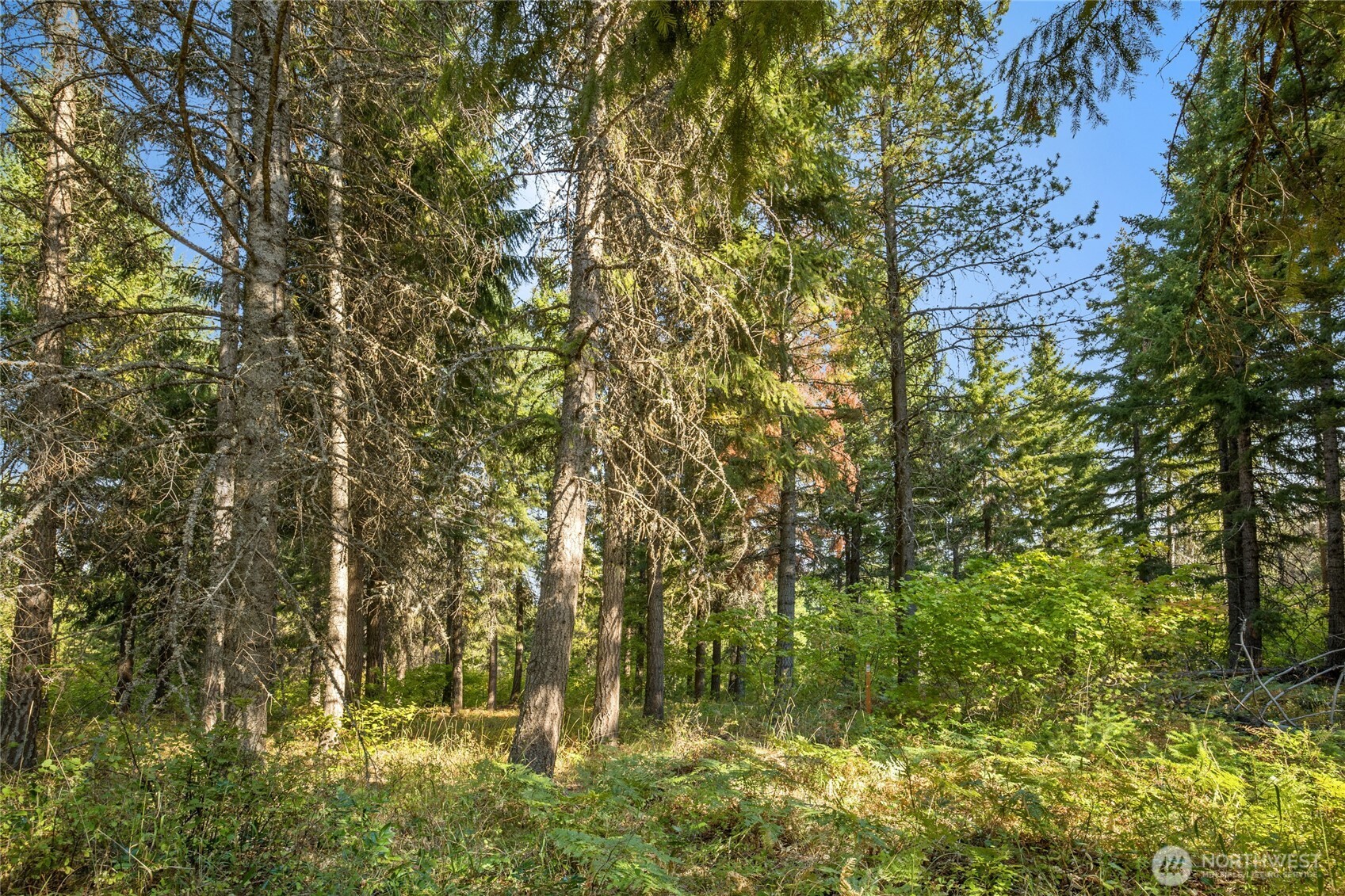 321 Goat Creek Lane