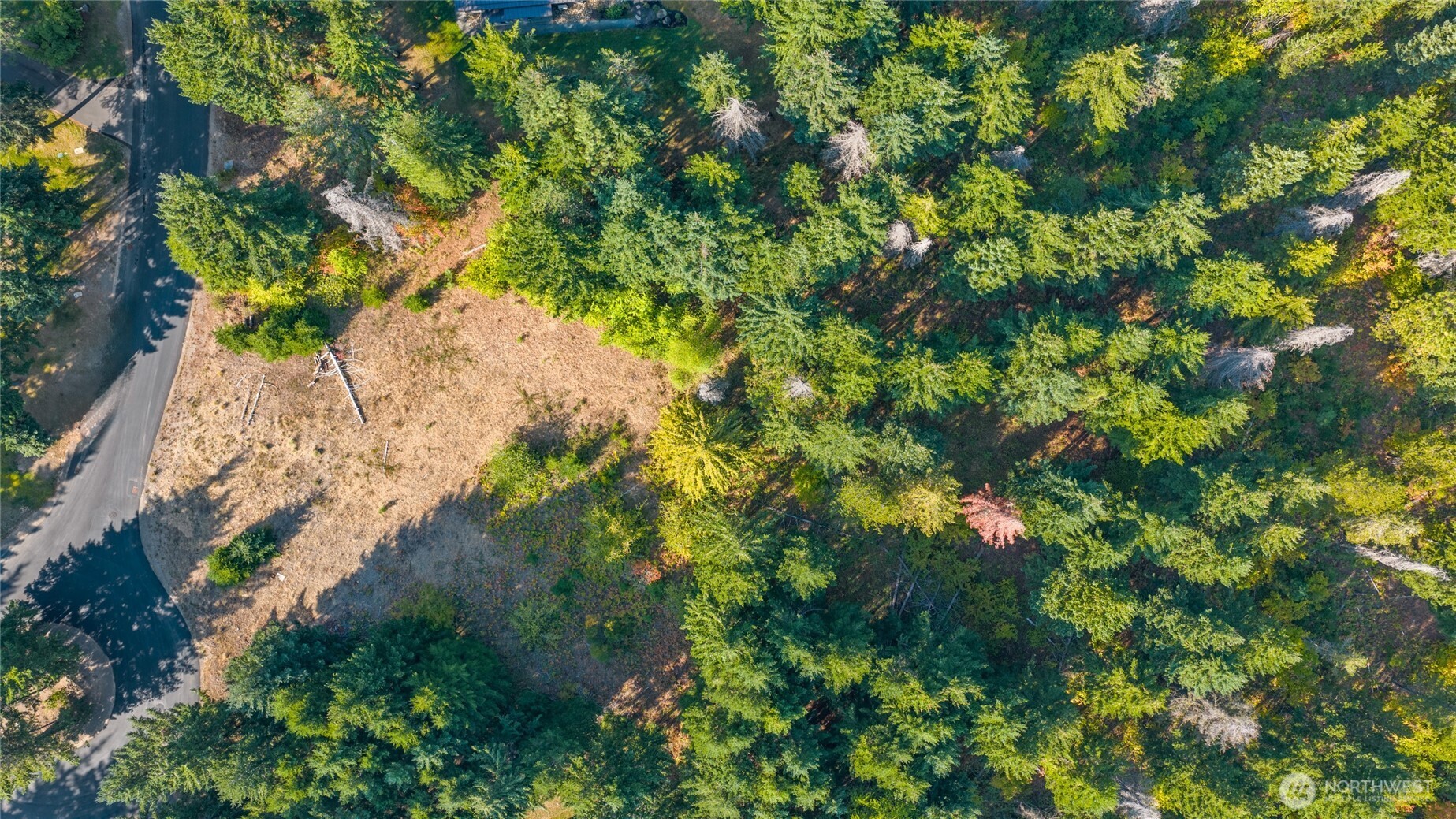 321 Goat Creek Lane
