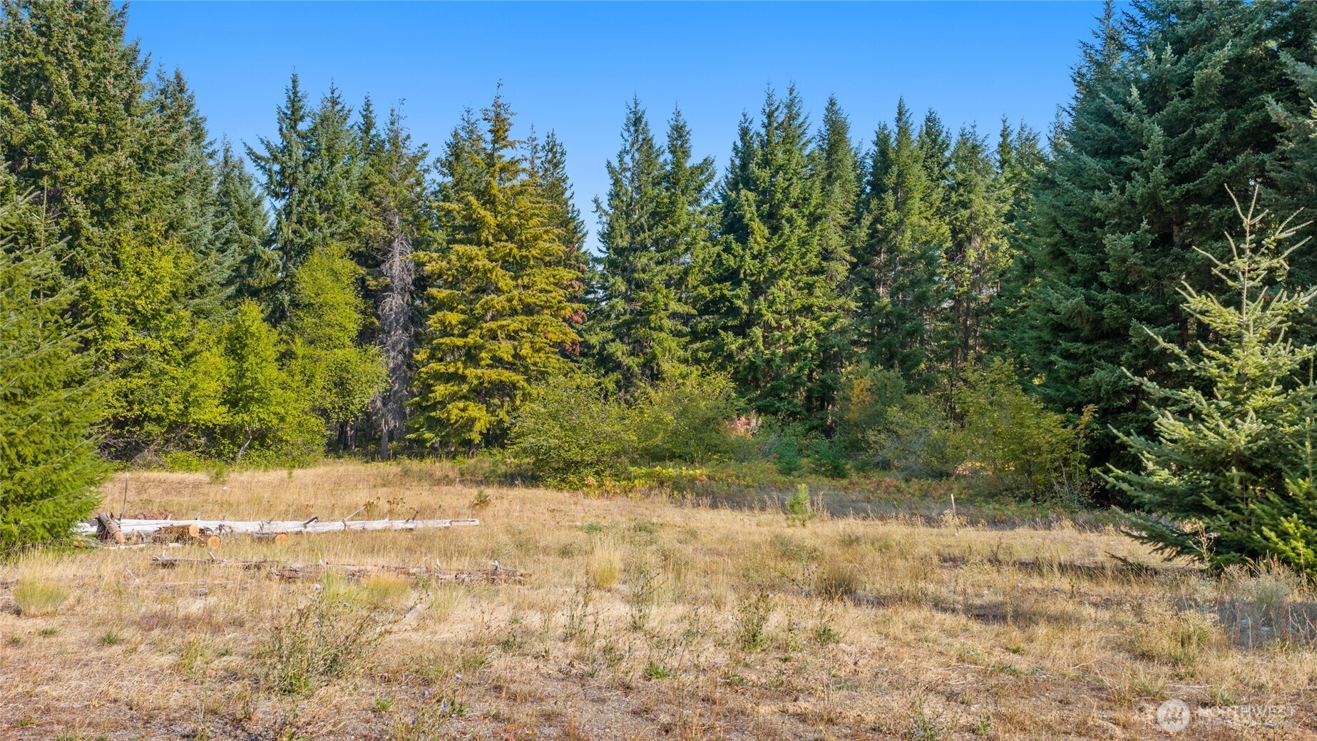 321 Goat Creek Lane