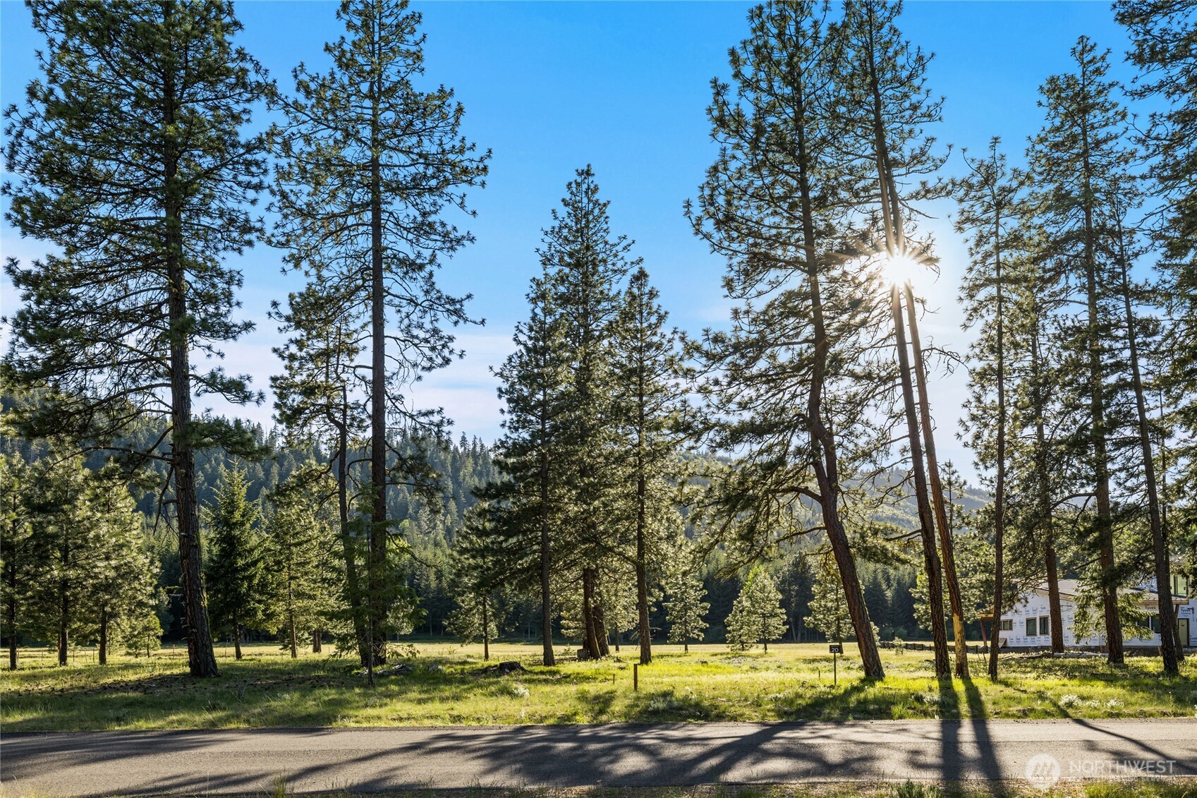 20 Domerie Park Loop