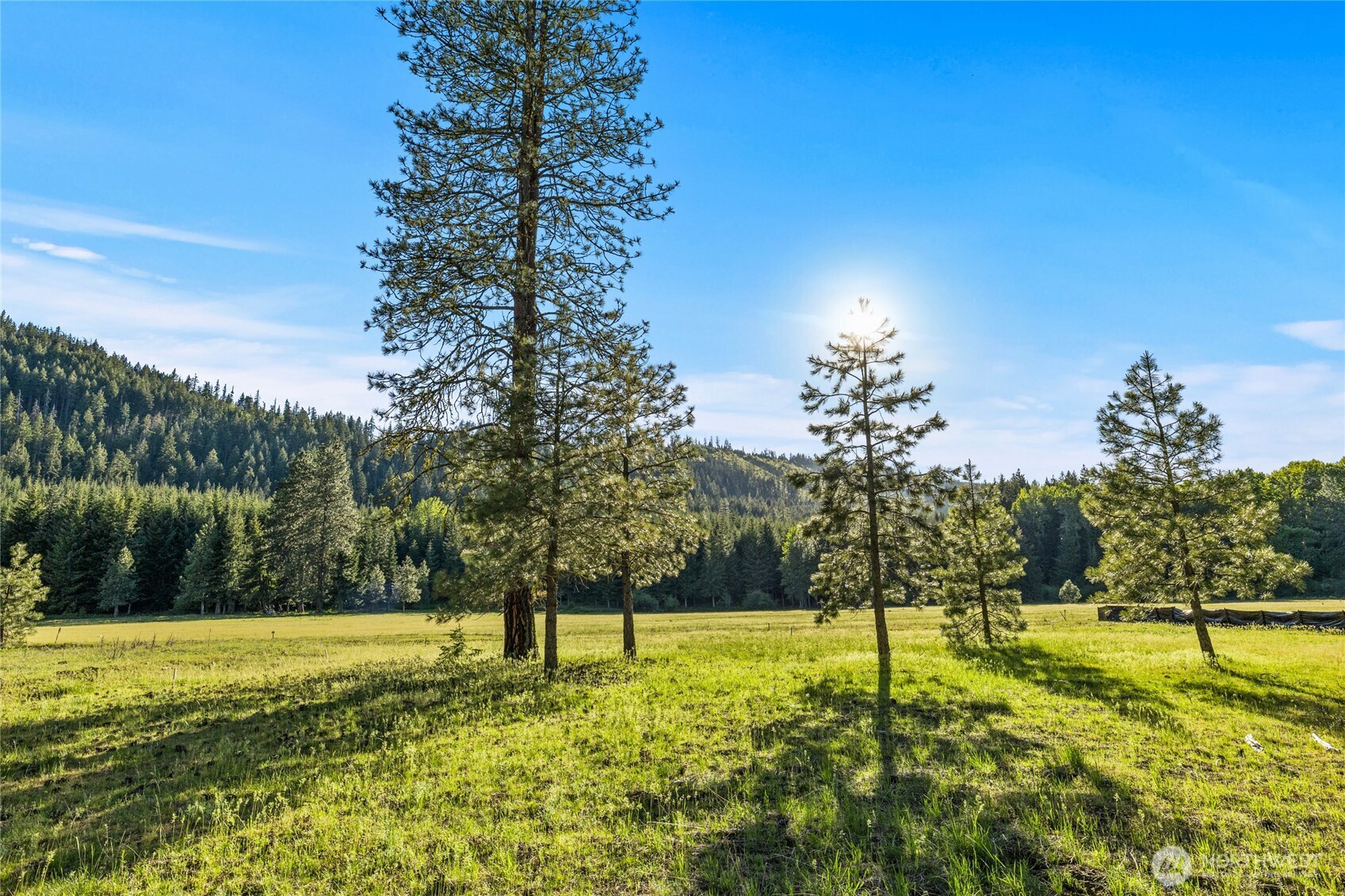 20 Domerie Park Loop
