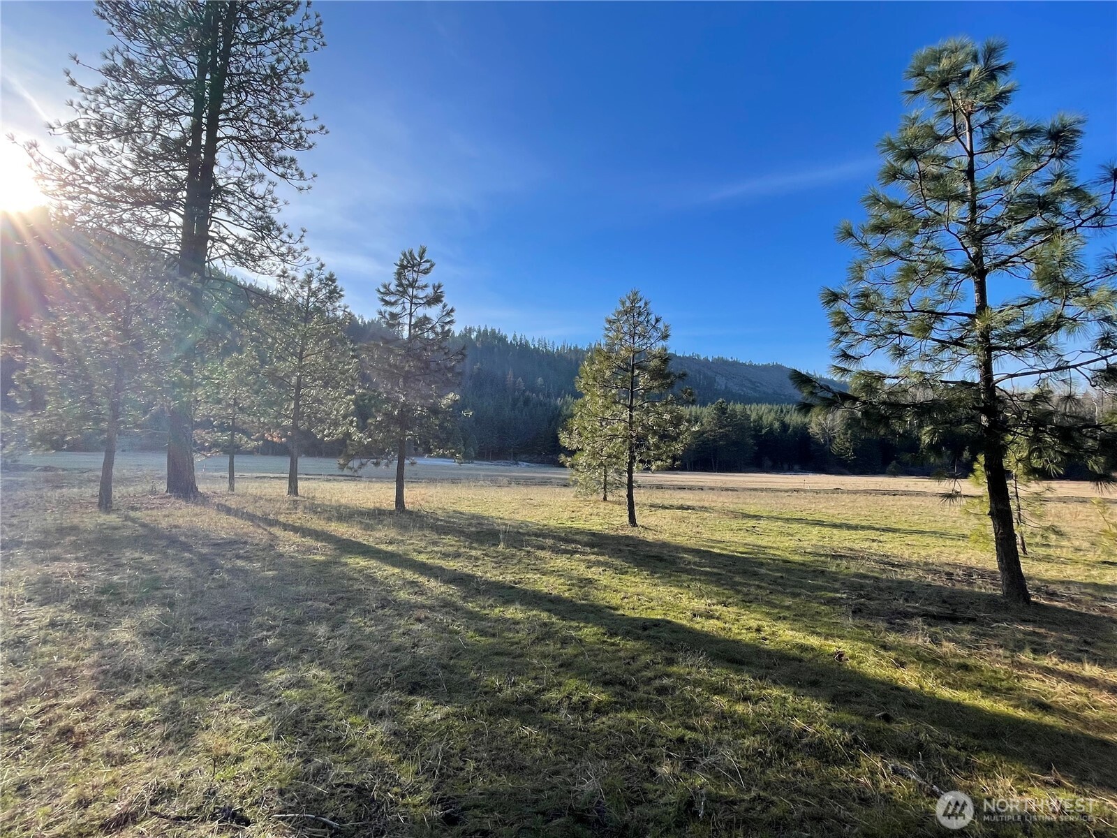 20 Domerie Park Loop
