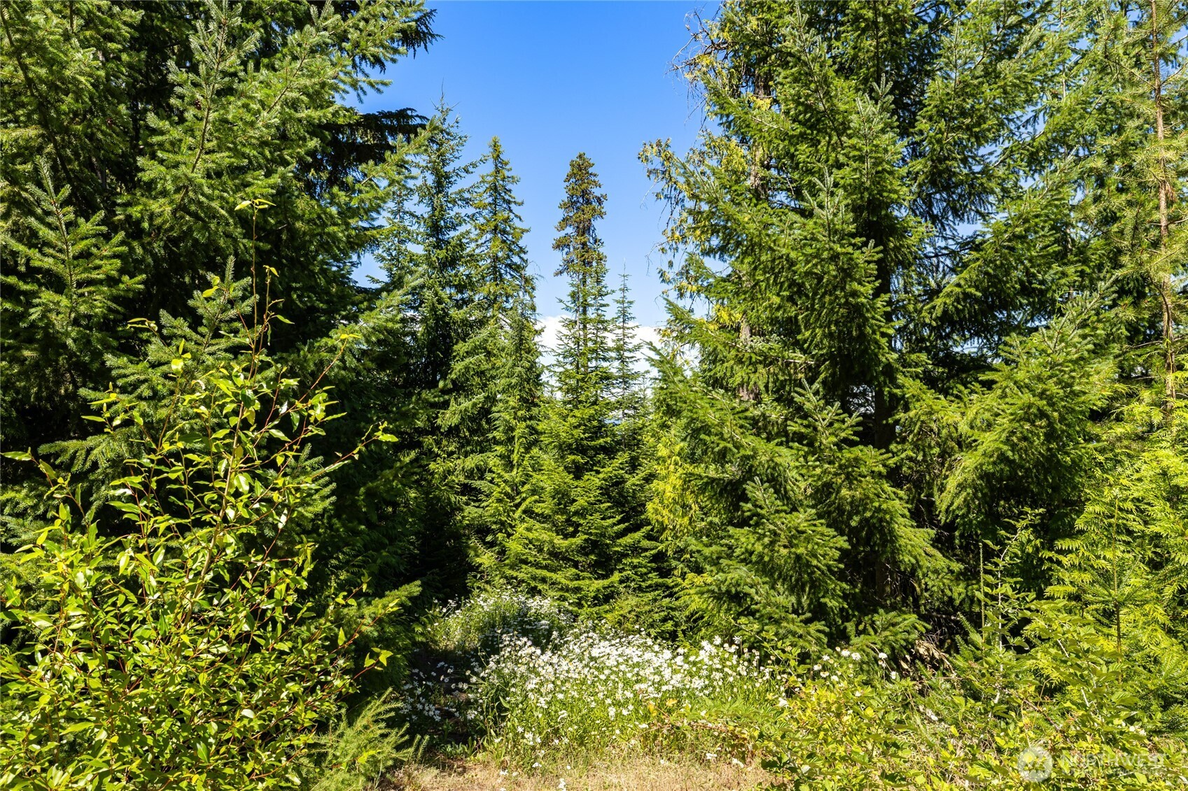 91 Basin Creek Way