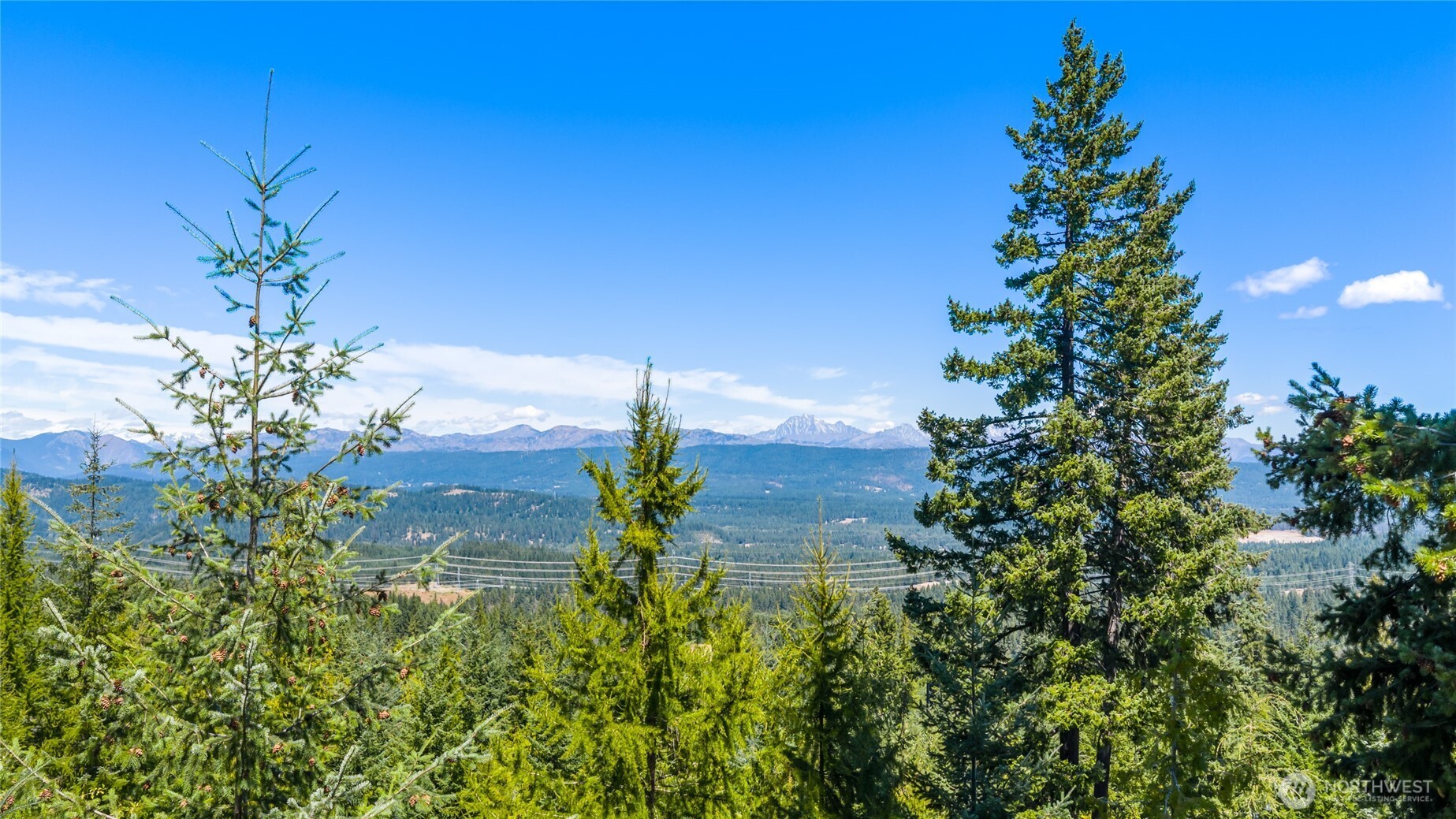 91 Basin Creek Way