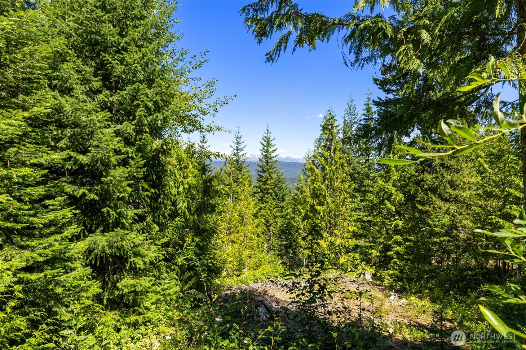 91 Basin Creek Way