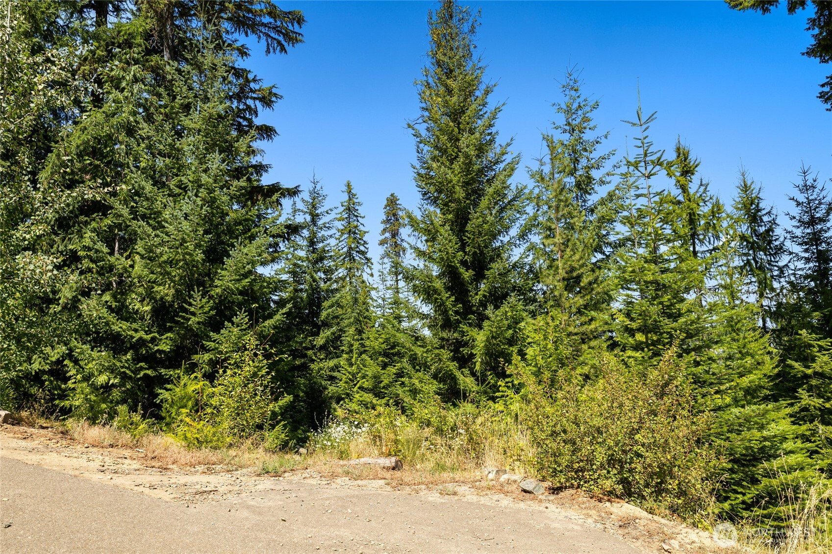 91 Basin Creek Way