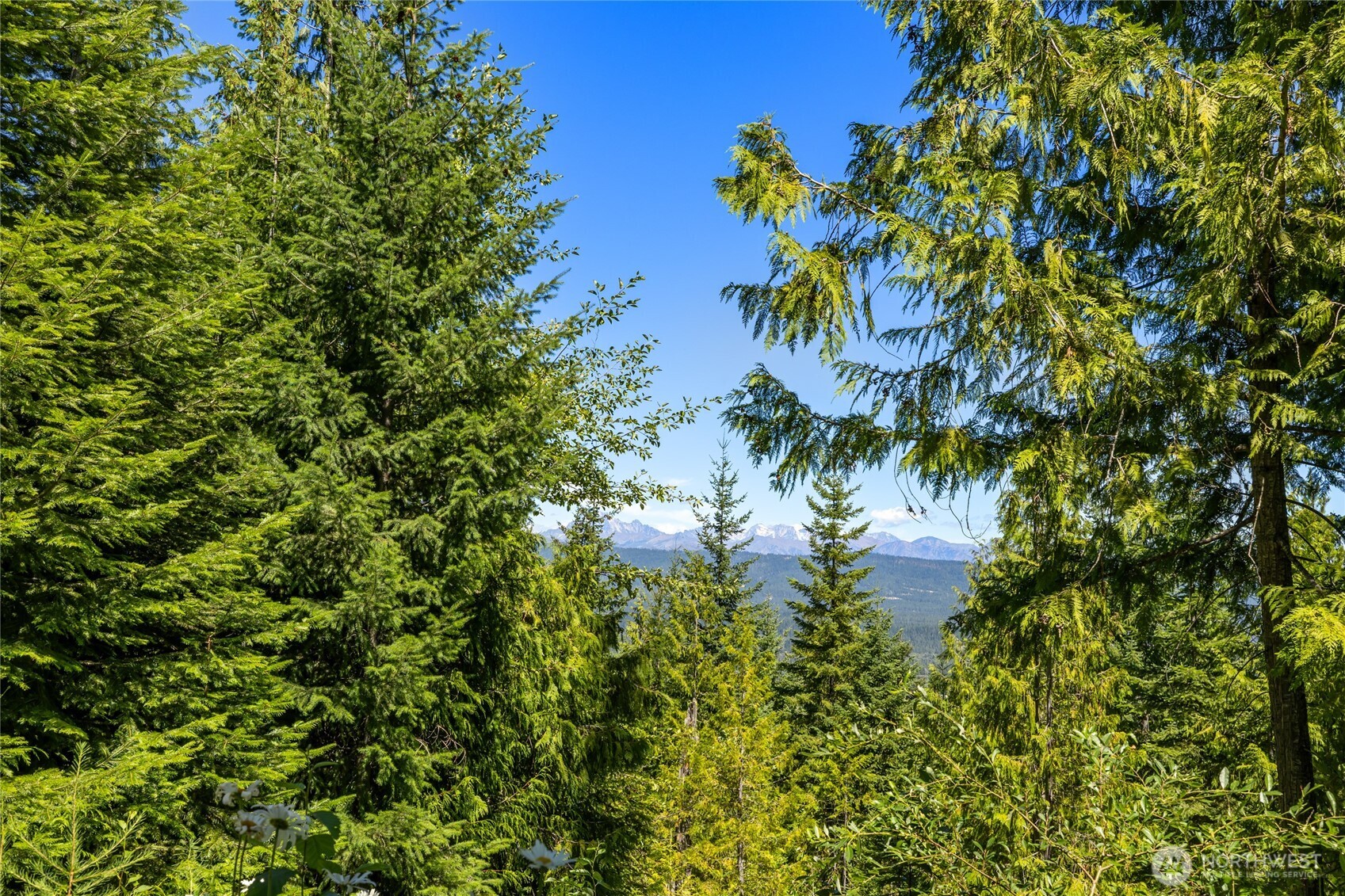91 Basin Creek Way