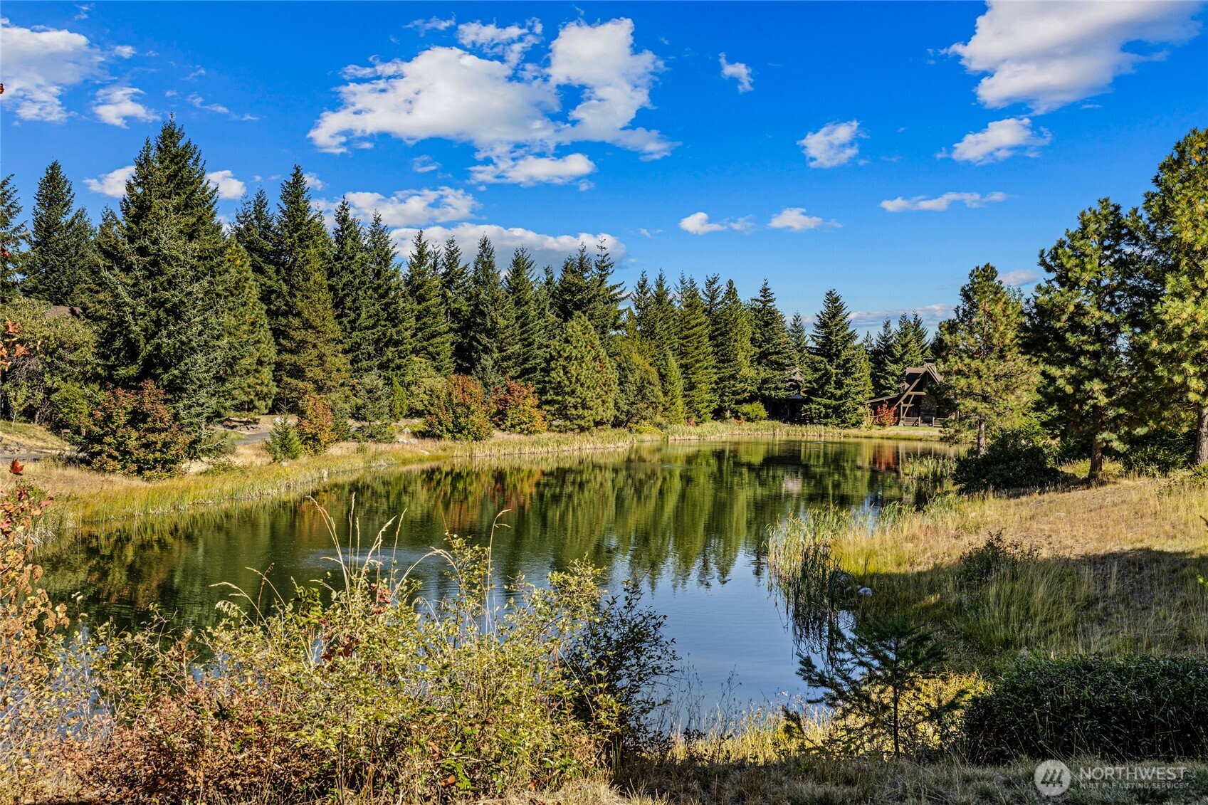 70 Saddle Ridge Loop
