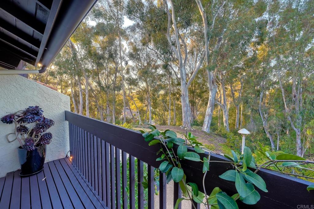 2080 Avenue of the Trees