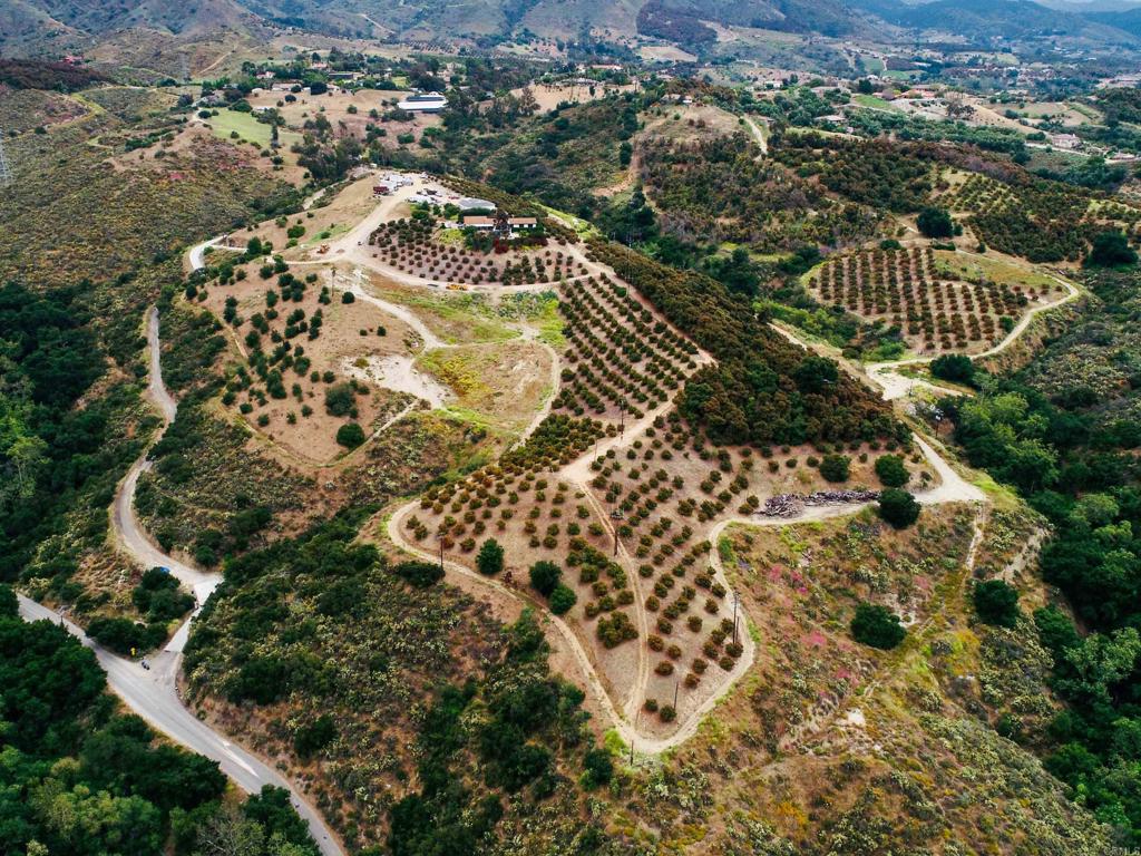 10267 Sandia Creek Drive