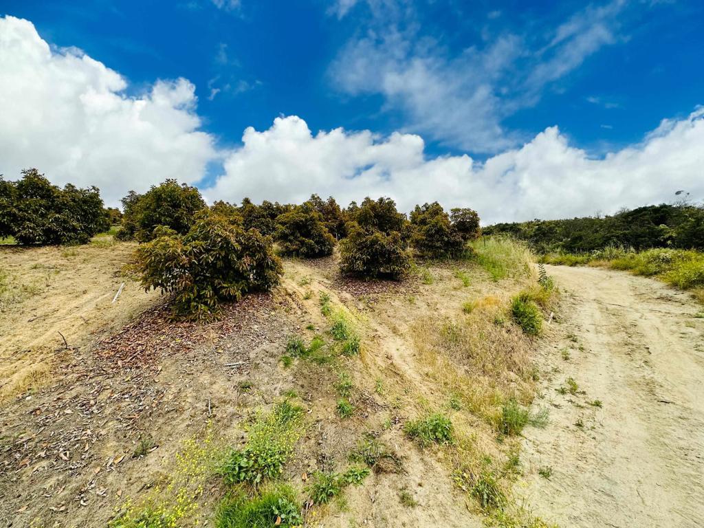 10267 Sandia Creek Drive