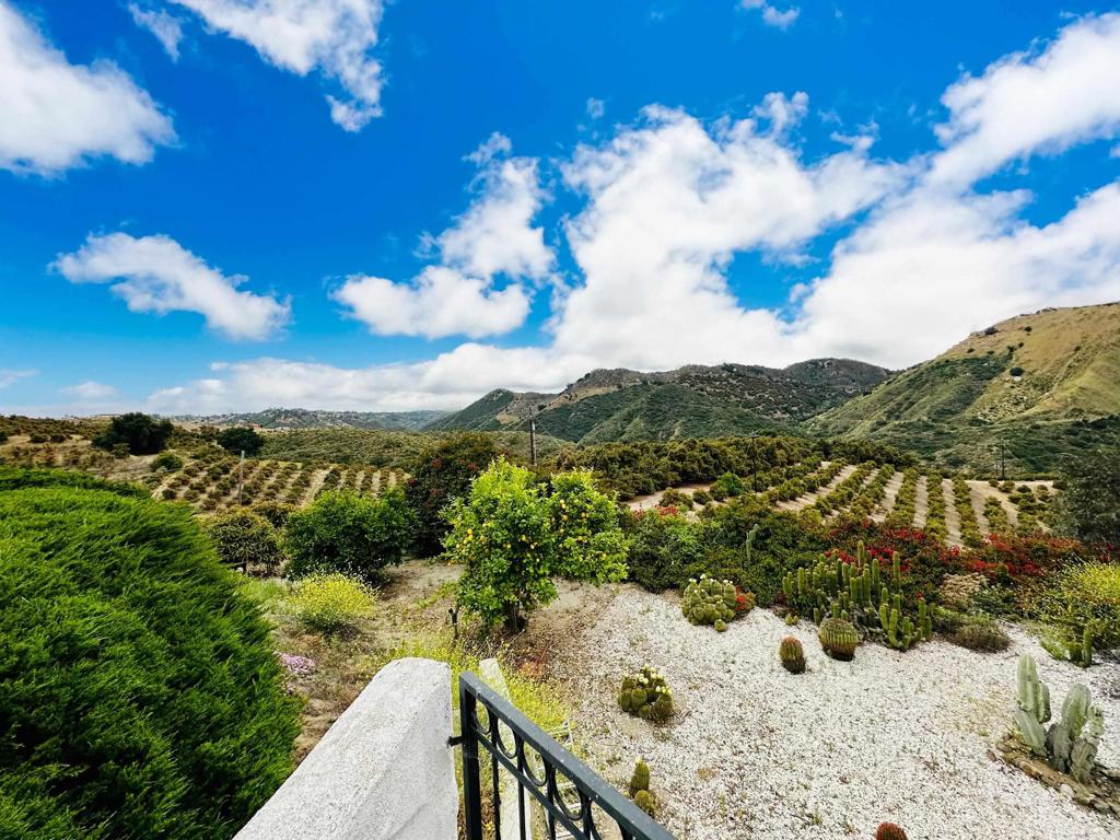 10267 Sandia Creek Drive