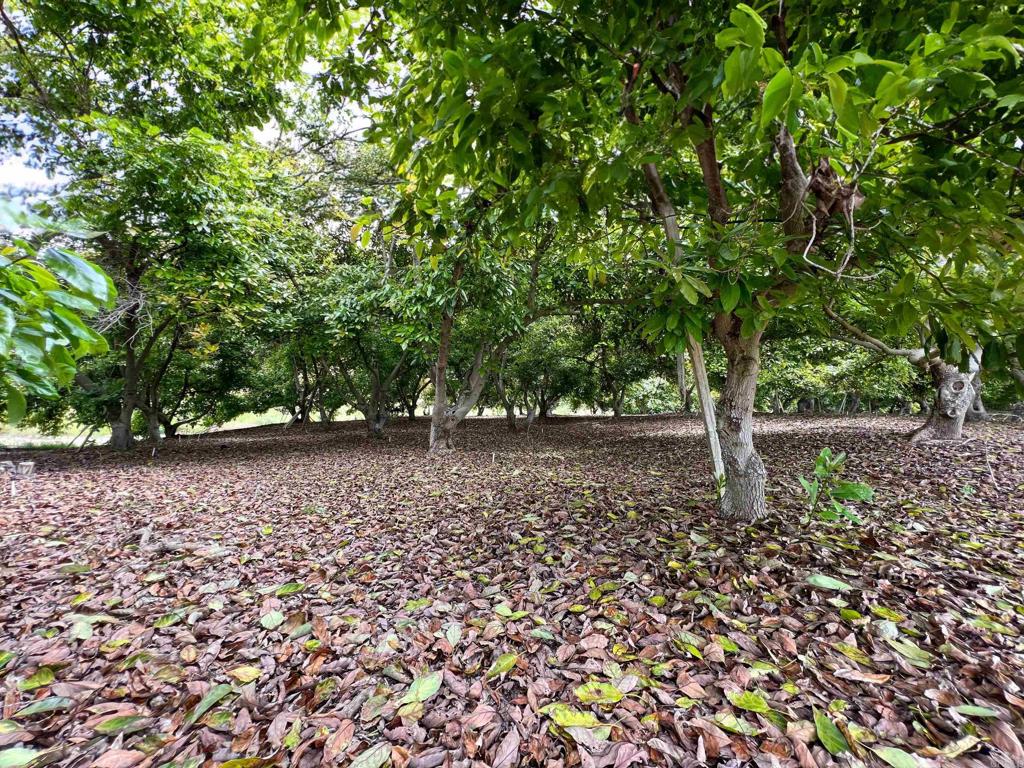 10267 Sandia Creek Drive