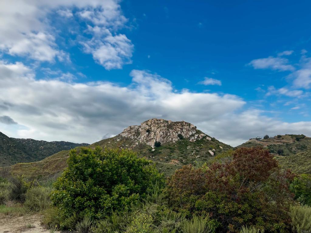 10267 Sandia Creek Drive