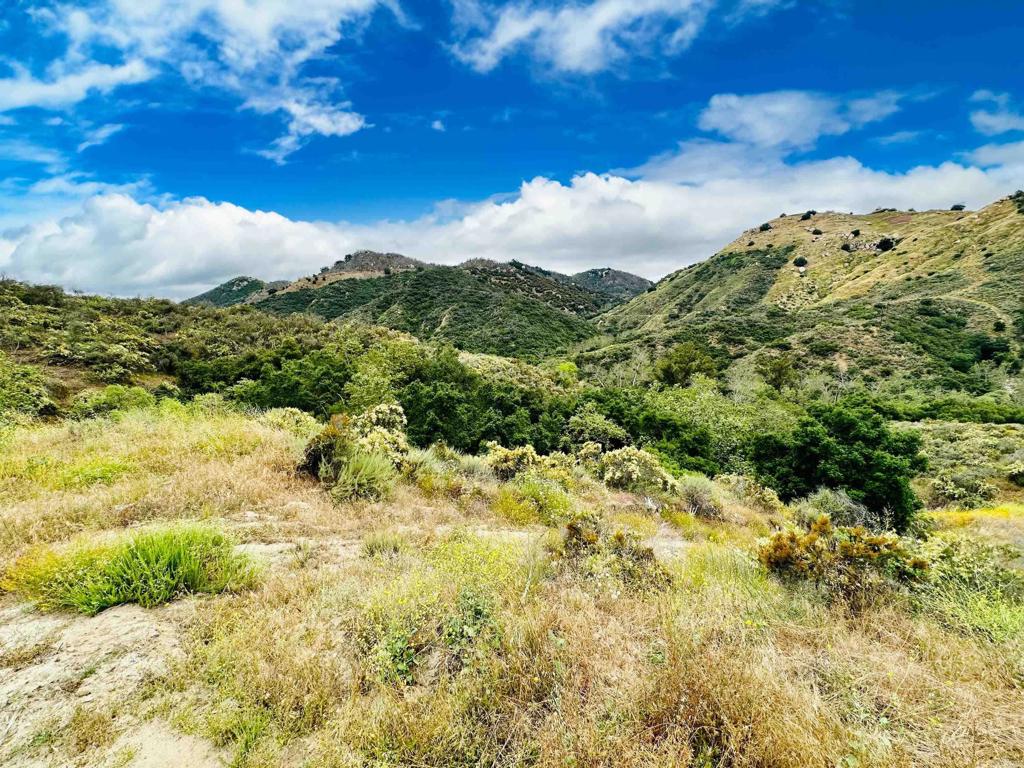 10267 Sandia Creek Drive