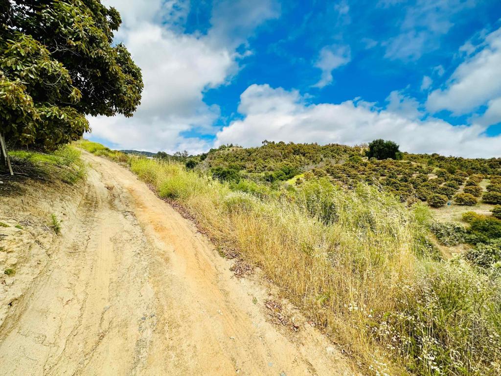 10267 Sandia Creek Drive