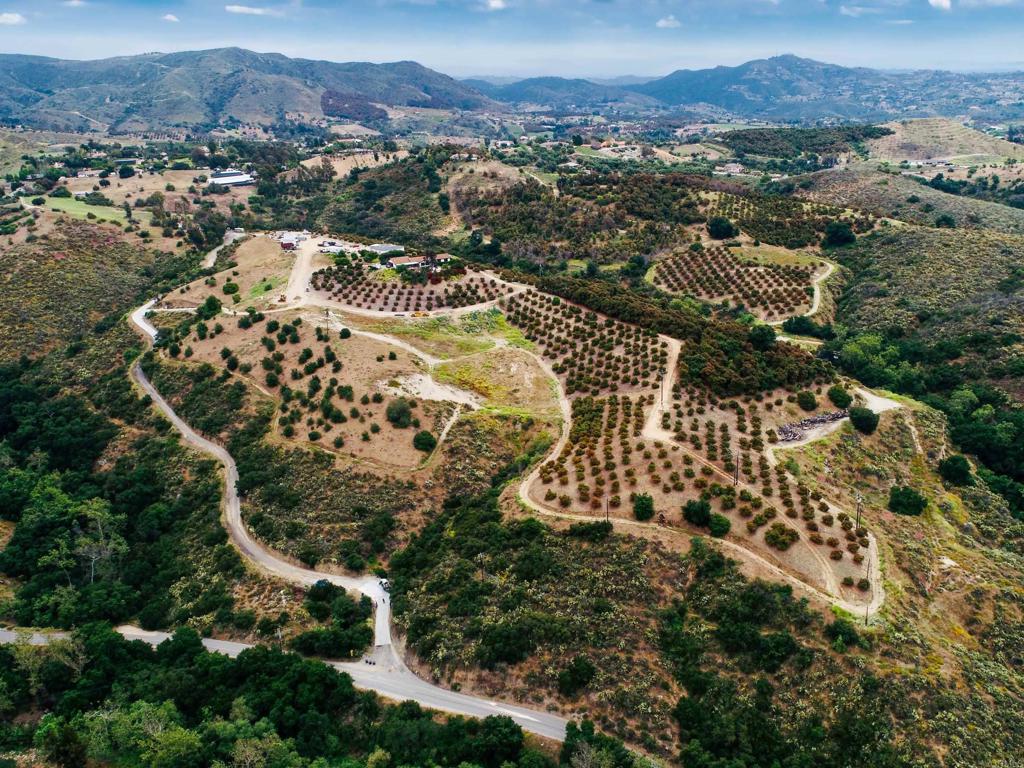 10267 Sandia Creek Drive