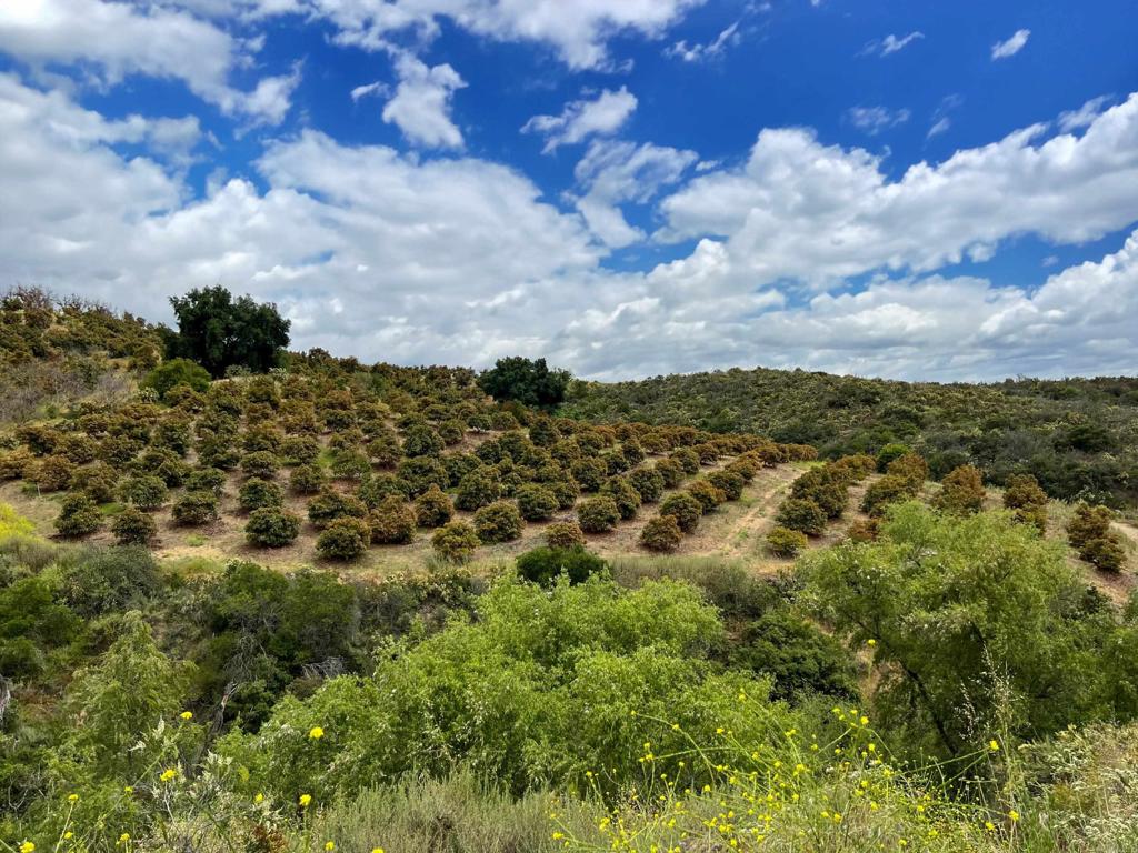 10267 Sandia Creek Drive