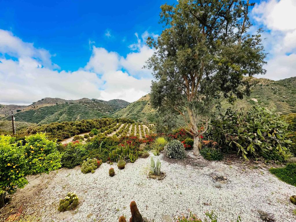 10267 Sandia Creek Drive