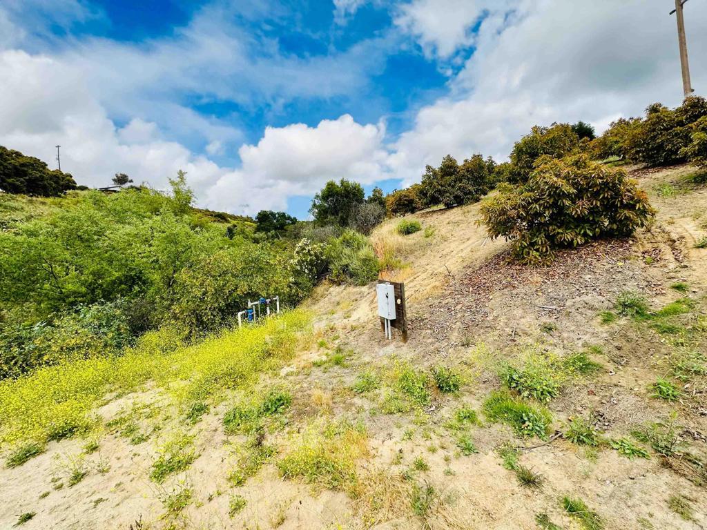 10267 Sandia Creek Drive