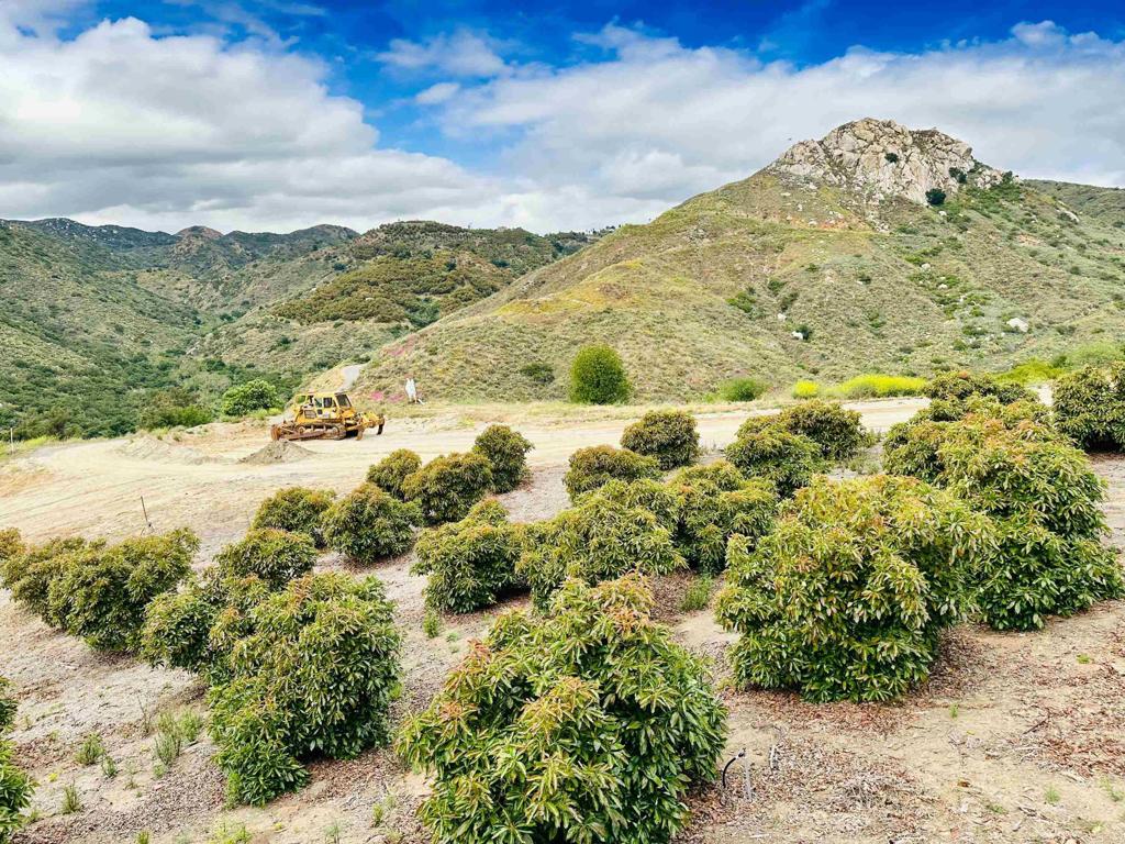 10267 Sandia Creek Drive