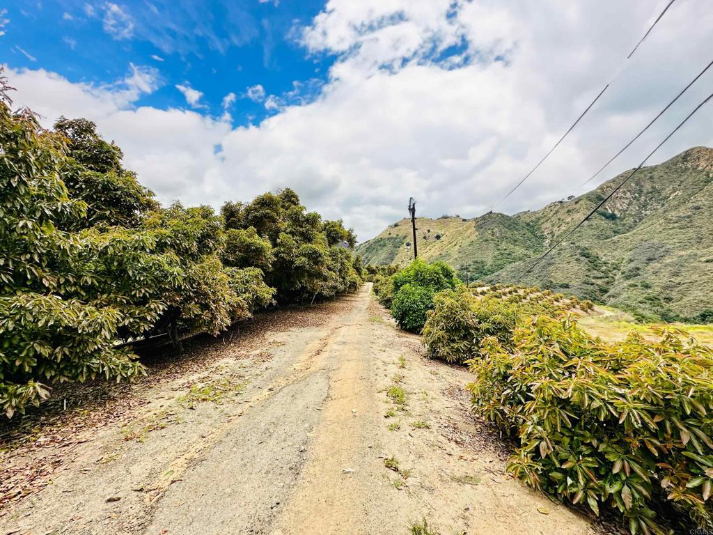 10267 Sandia Creek Drive